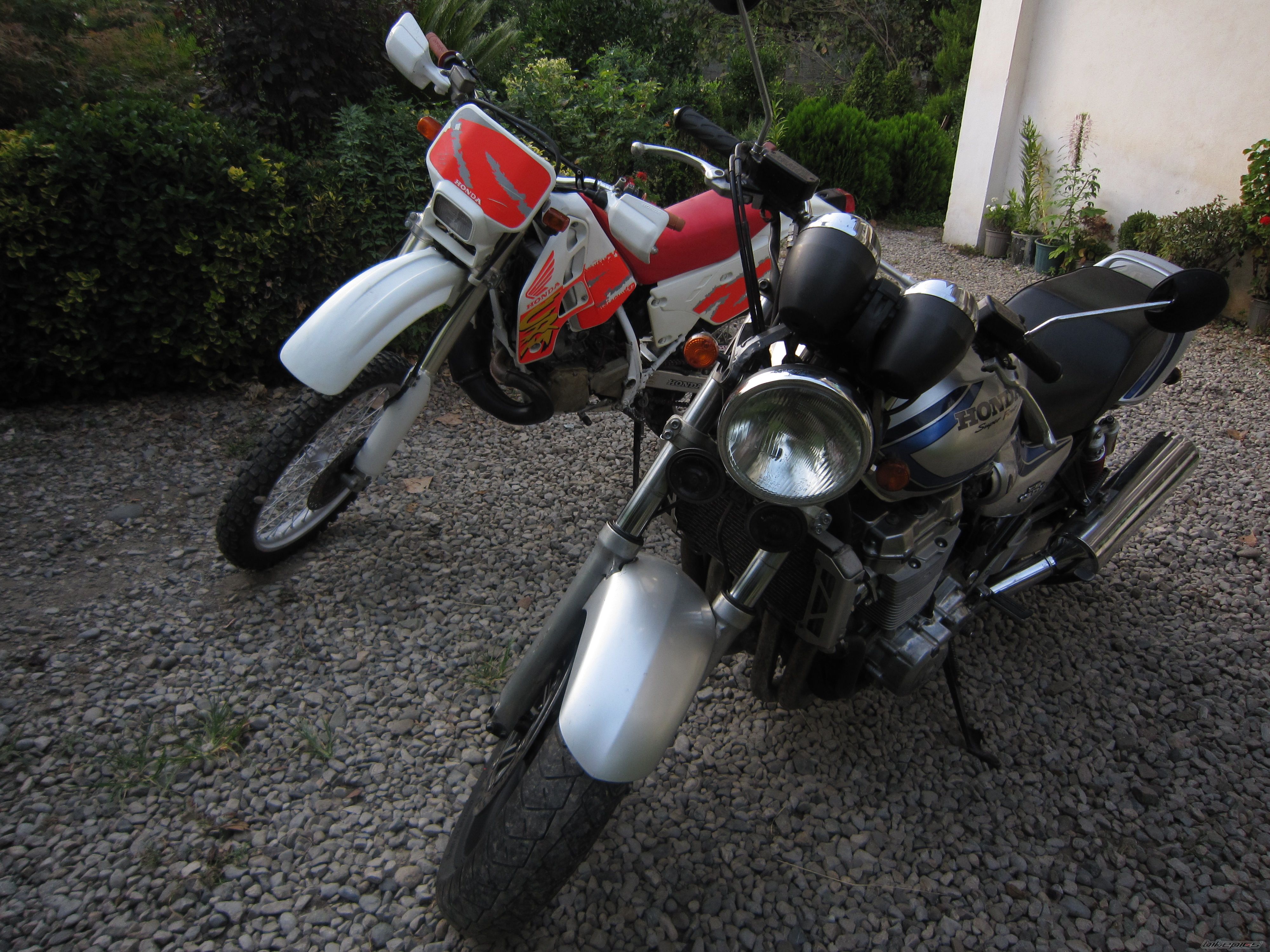 Photo 2462279