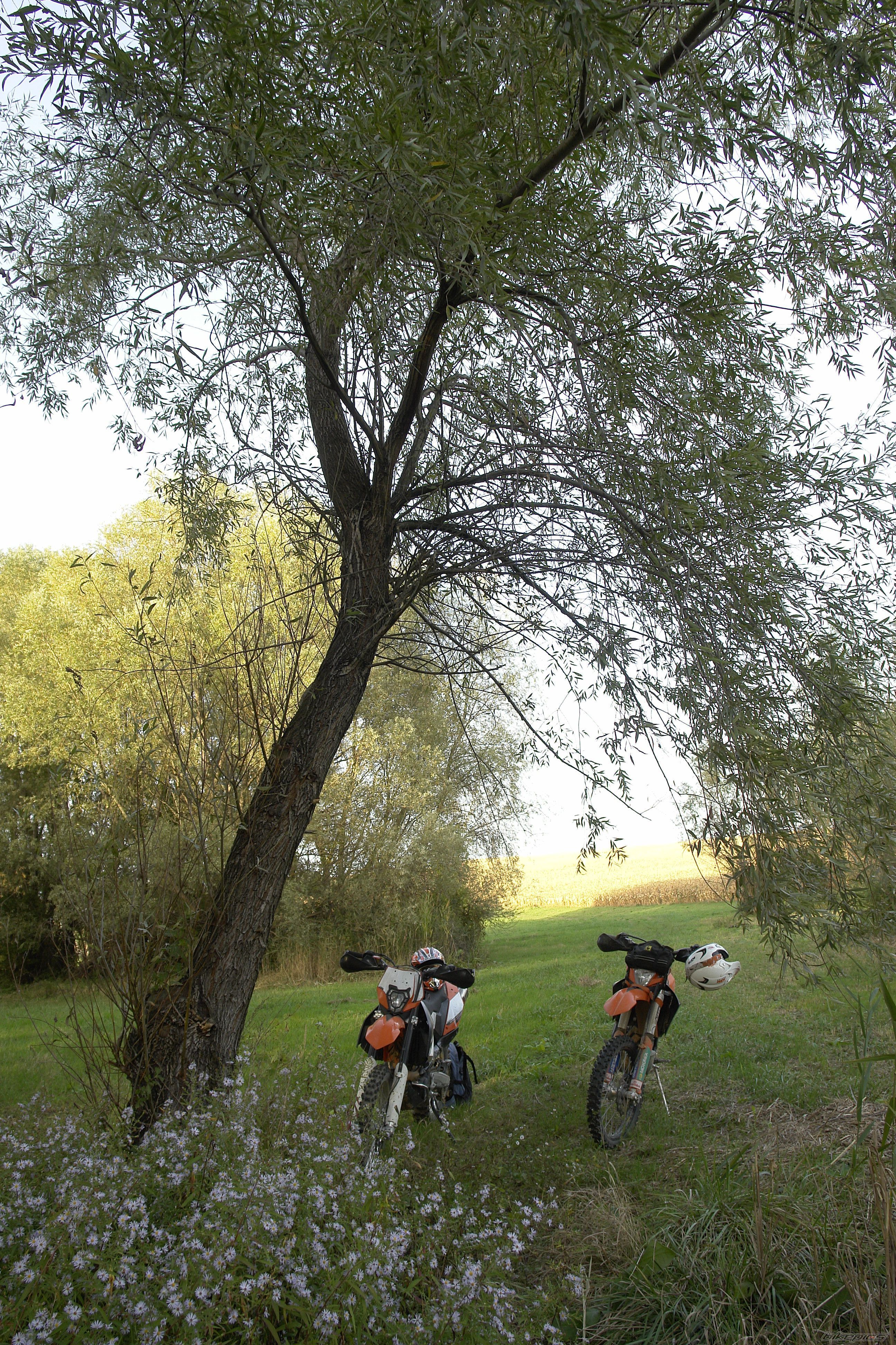 Photo 2462291