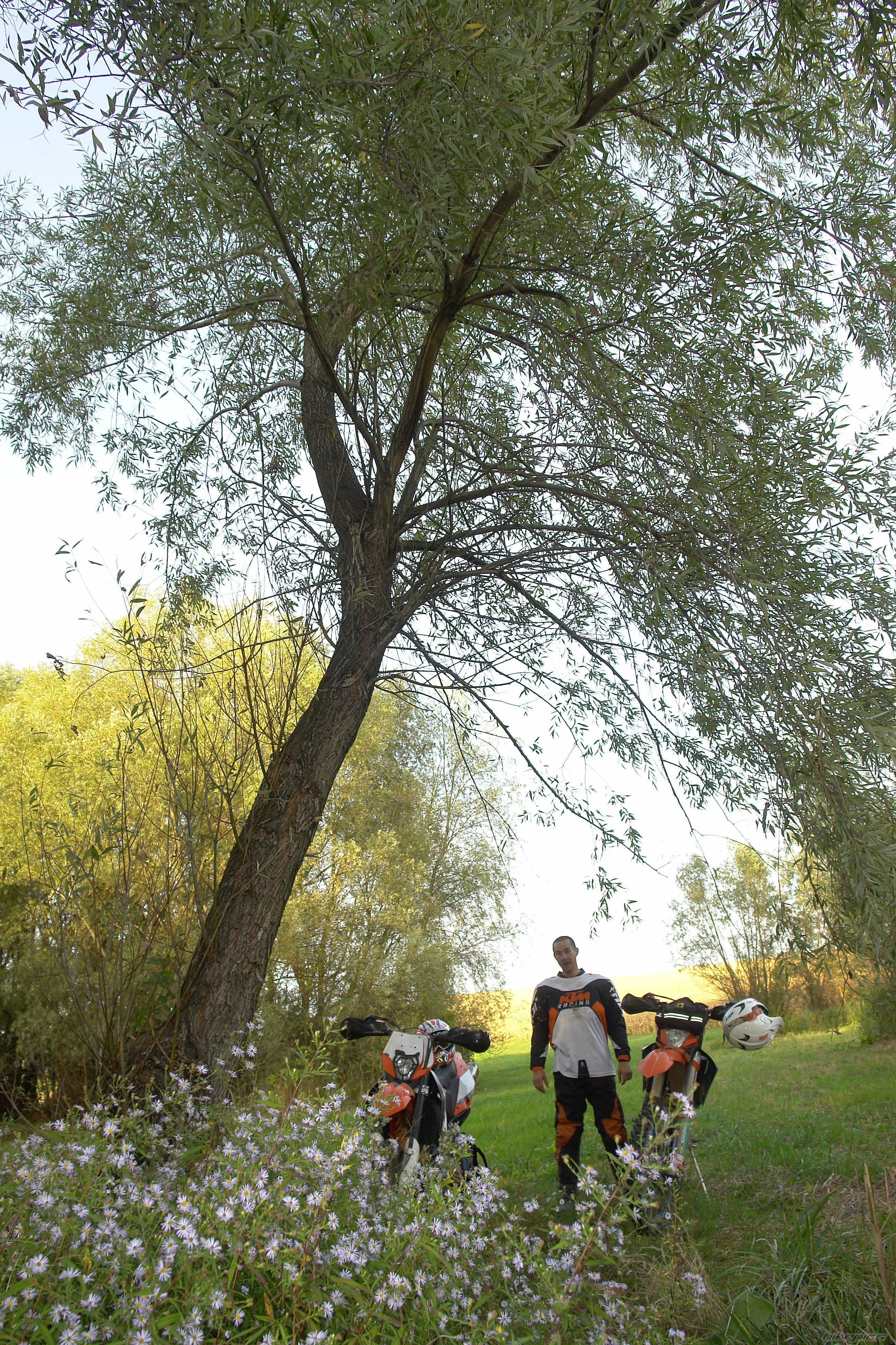 Photo 2462292