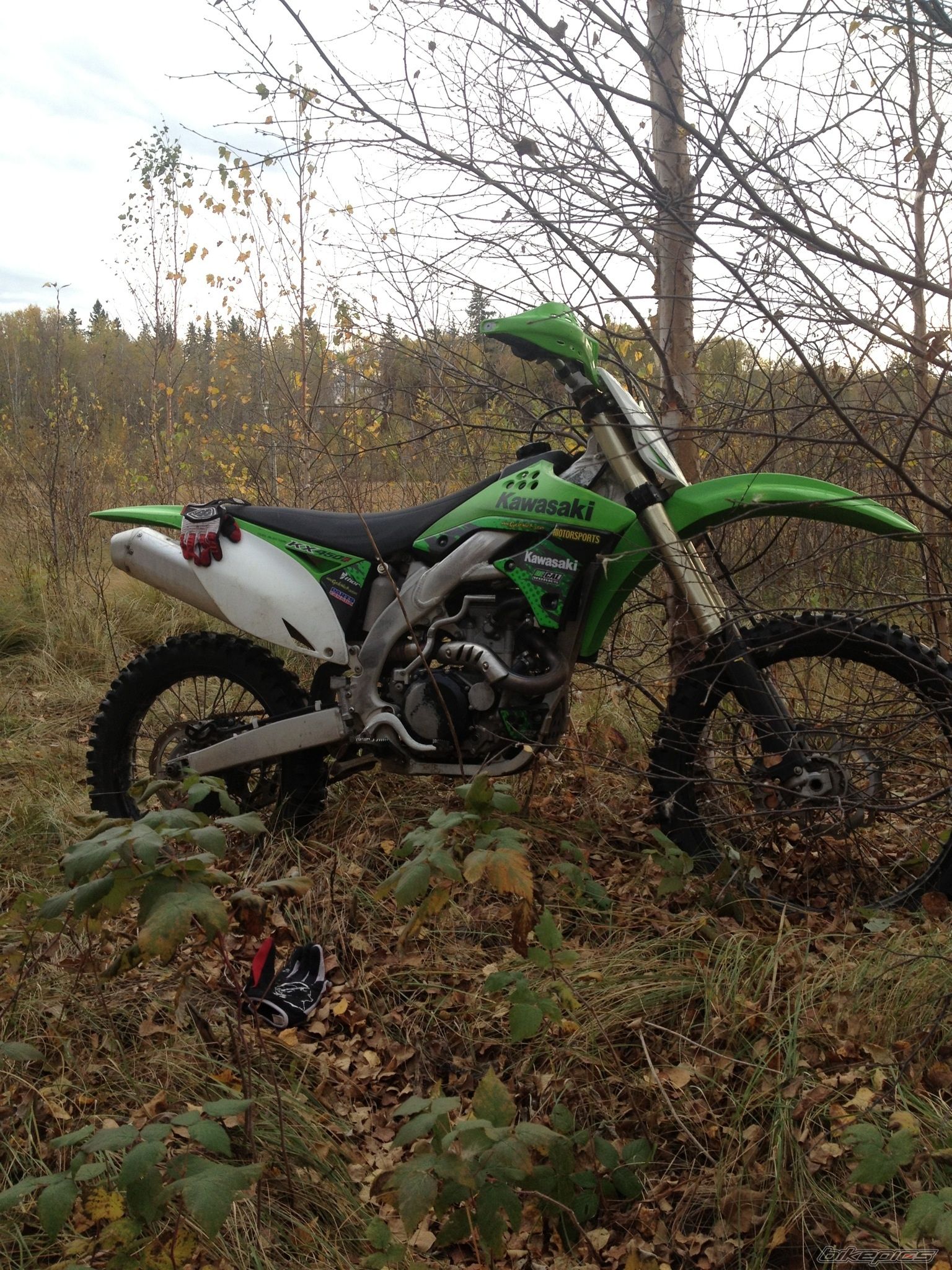 Photo 2462306