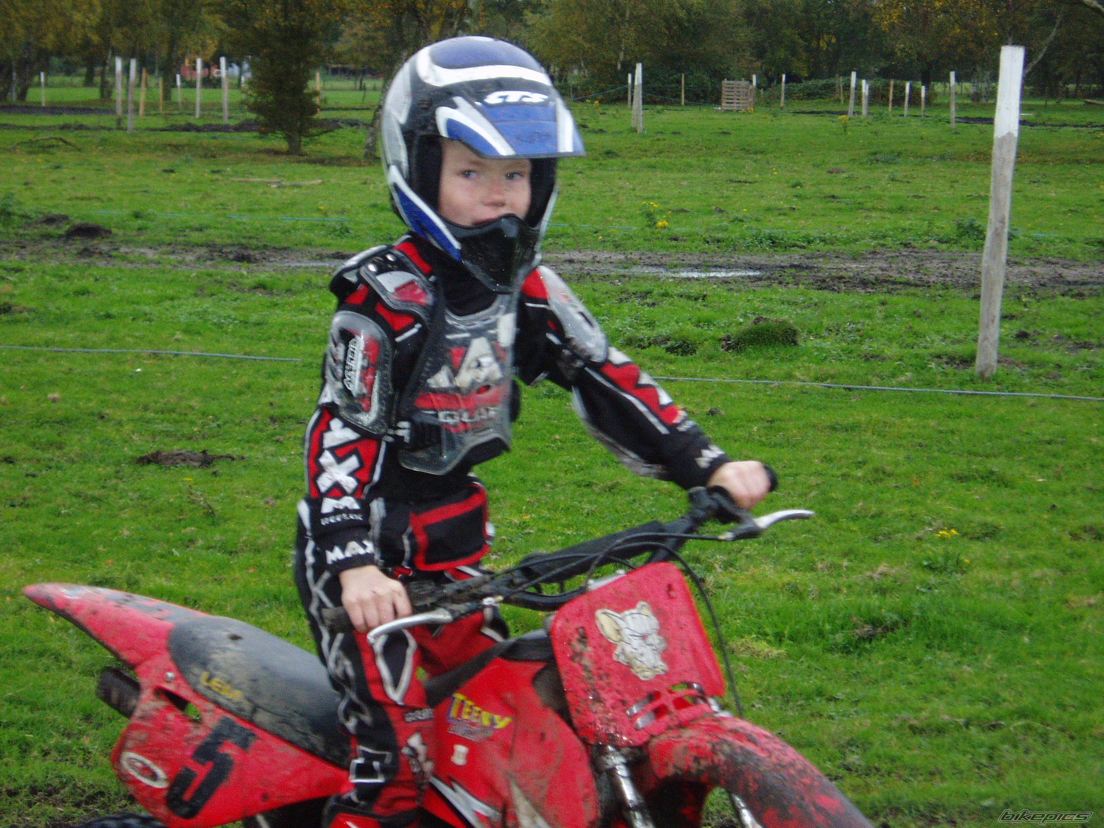 Photo 246231