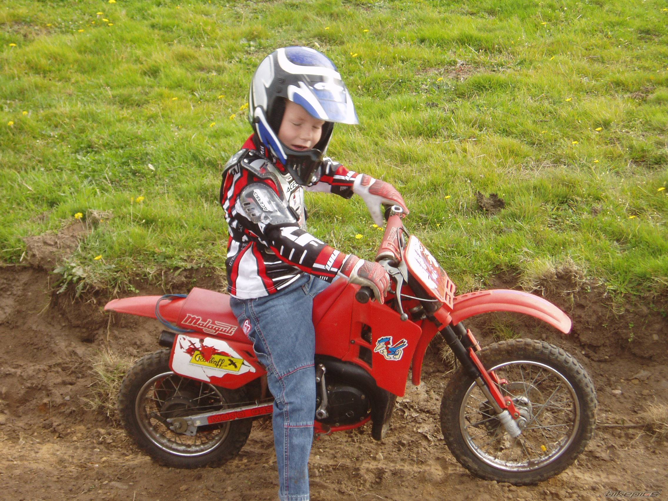 Photo 246234