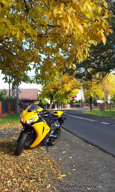 Photo 2462356