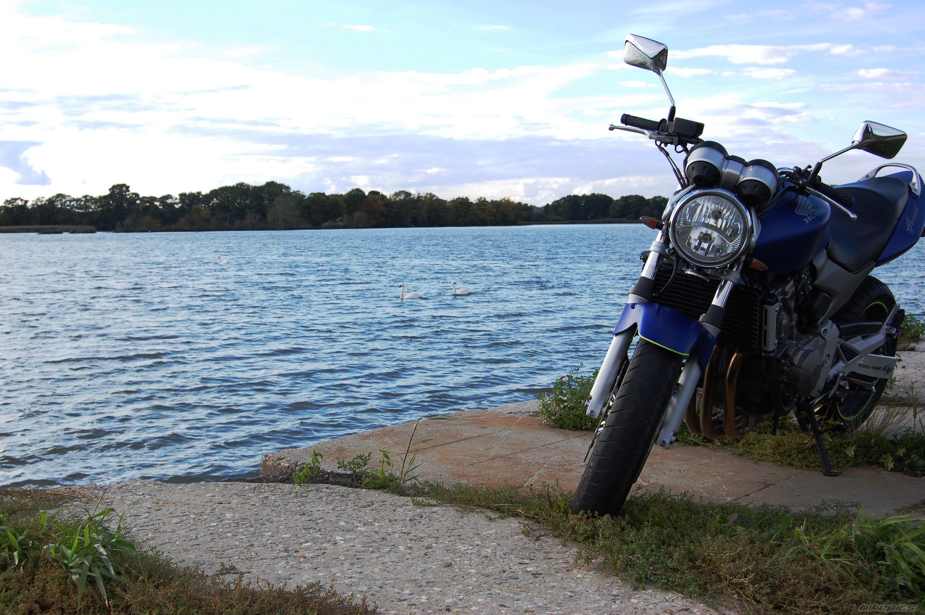 Photo 2462358