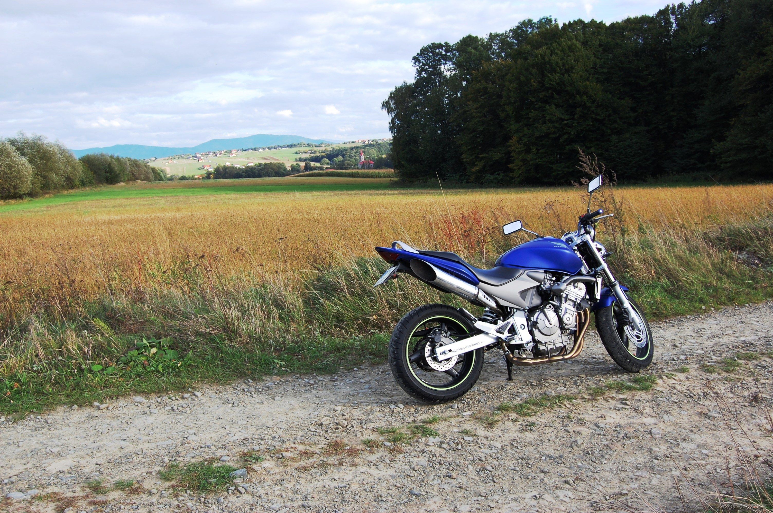 Photo 2462359