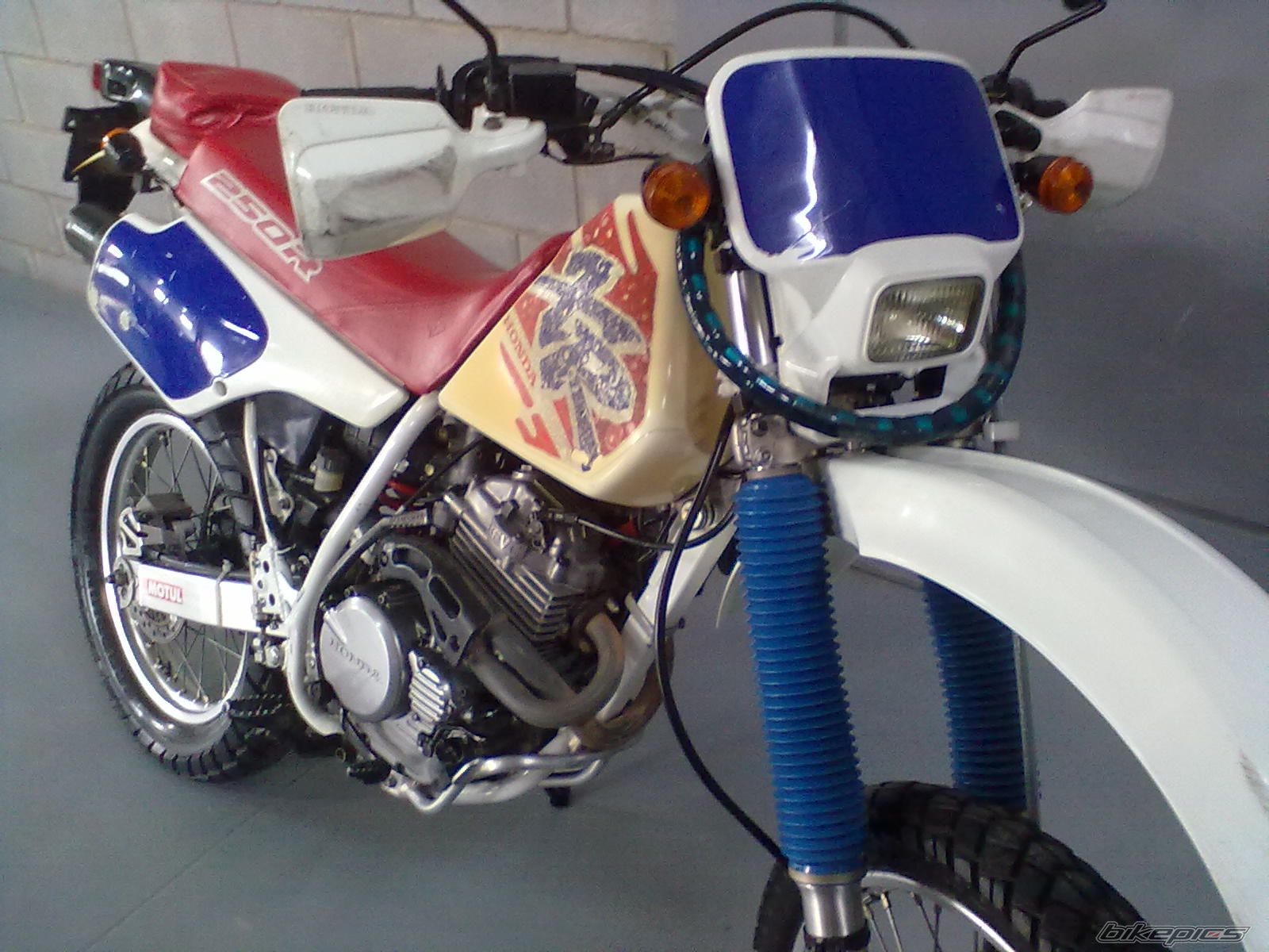 Photo 2462421