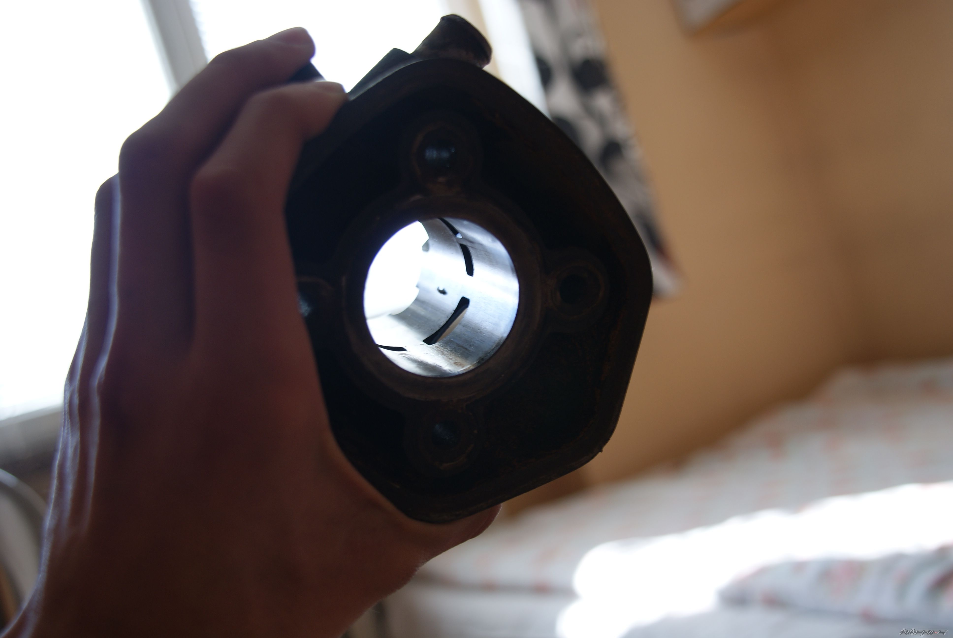 Photo 2462449
