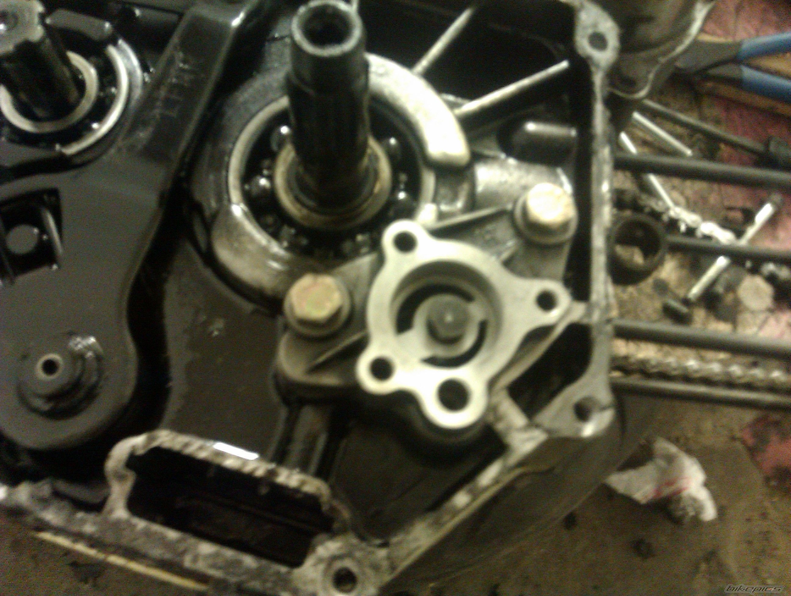 Photo 2462502