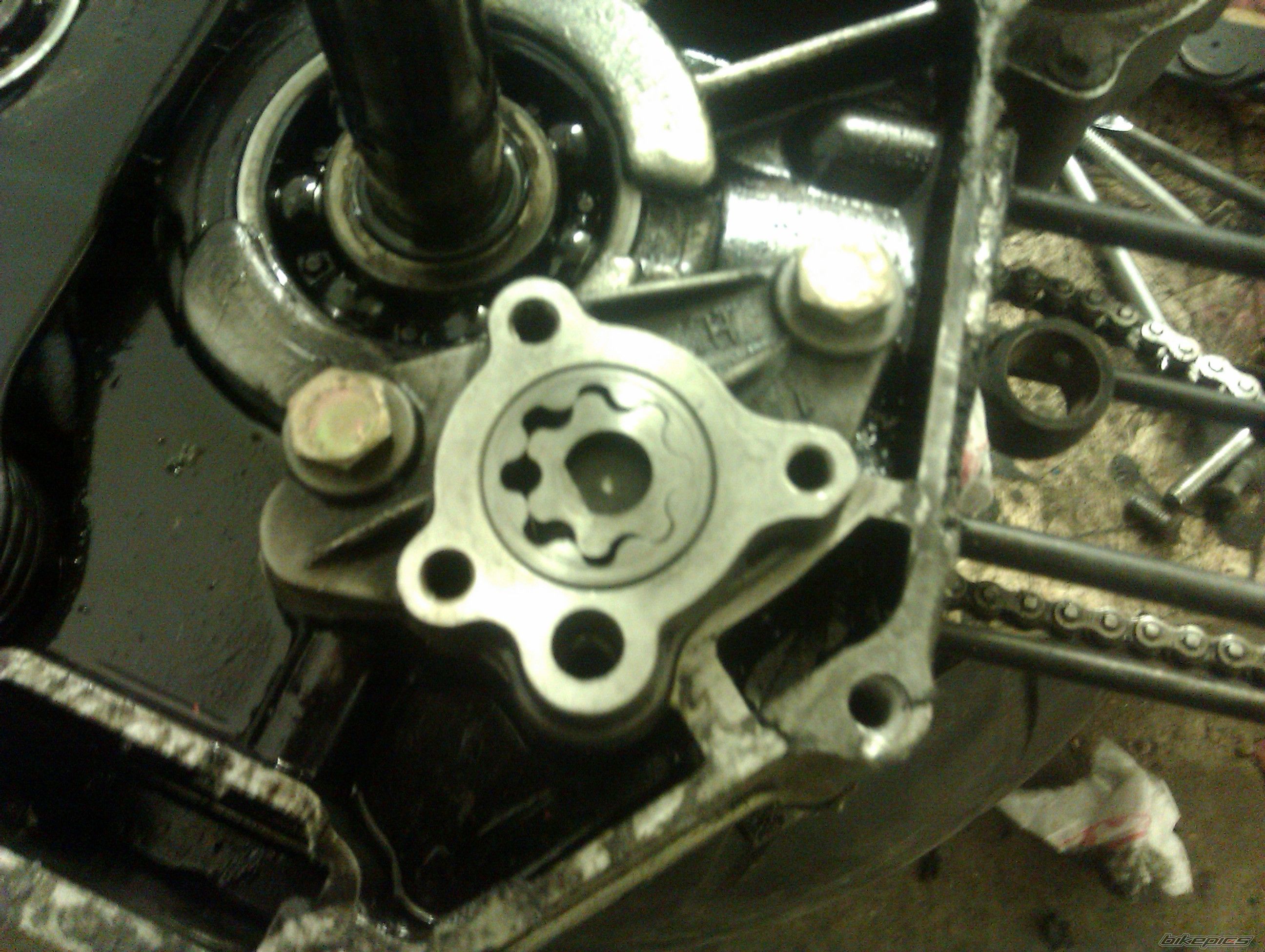 Photo 2462504