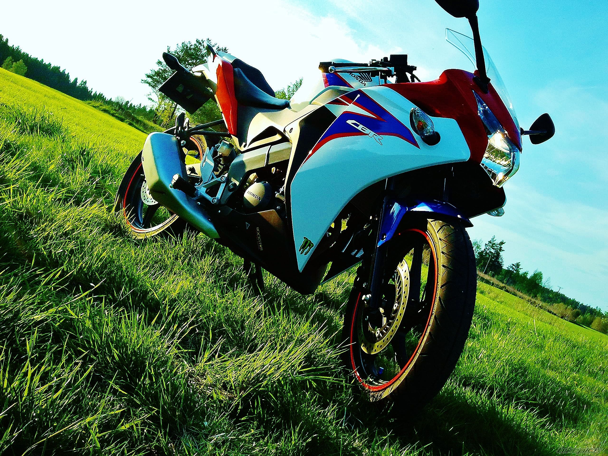 Photo 2462720