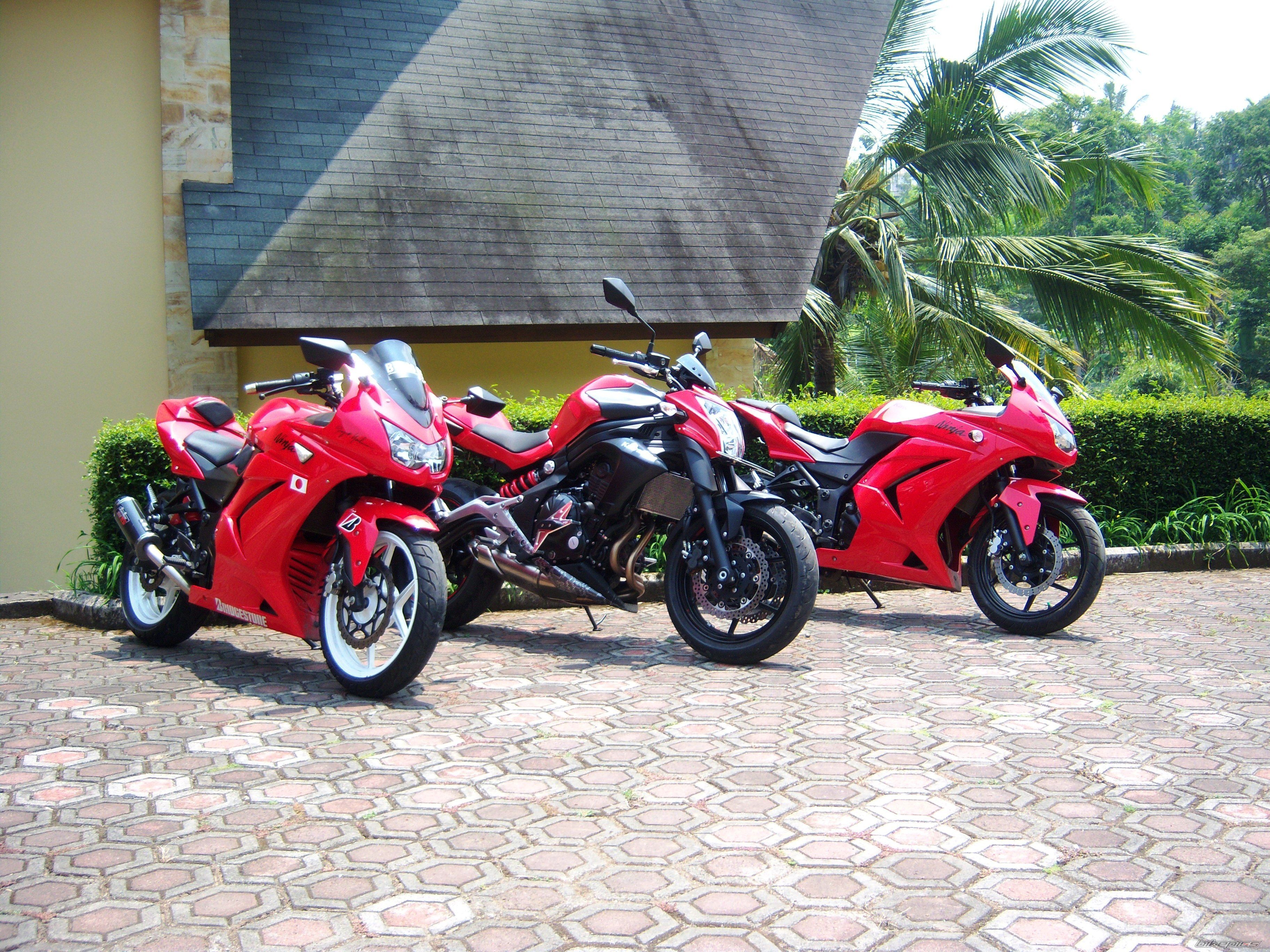 Photo 2462859