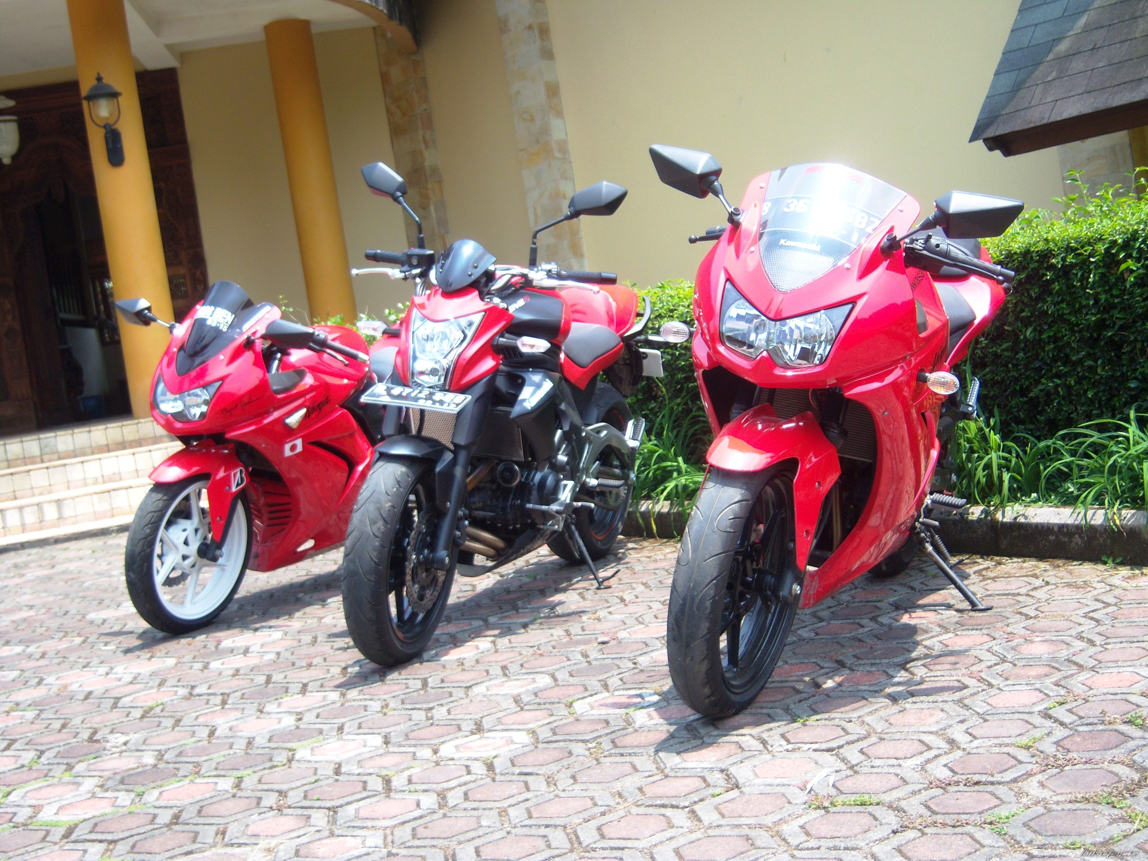 Photo 2462860