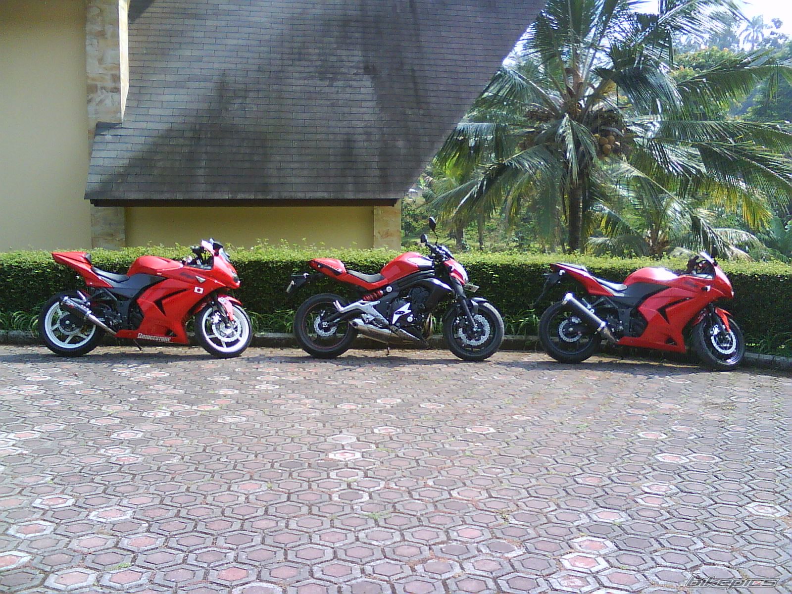 Photo 2462861