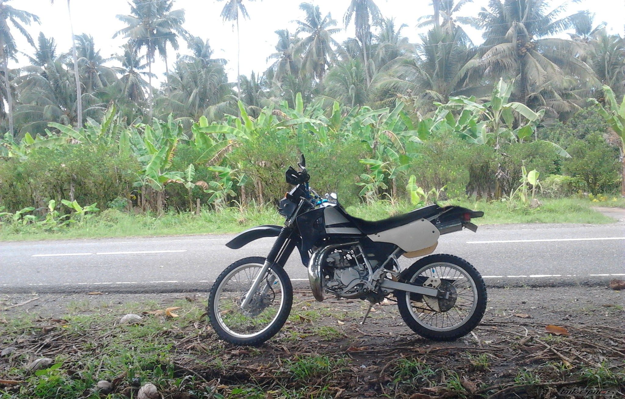 Photo 2462882
