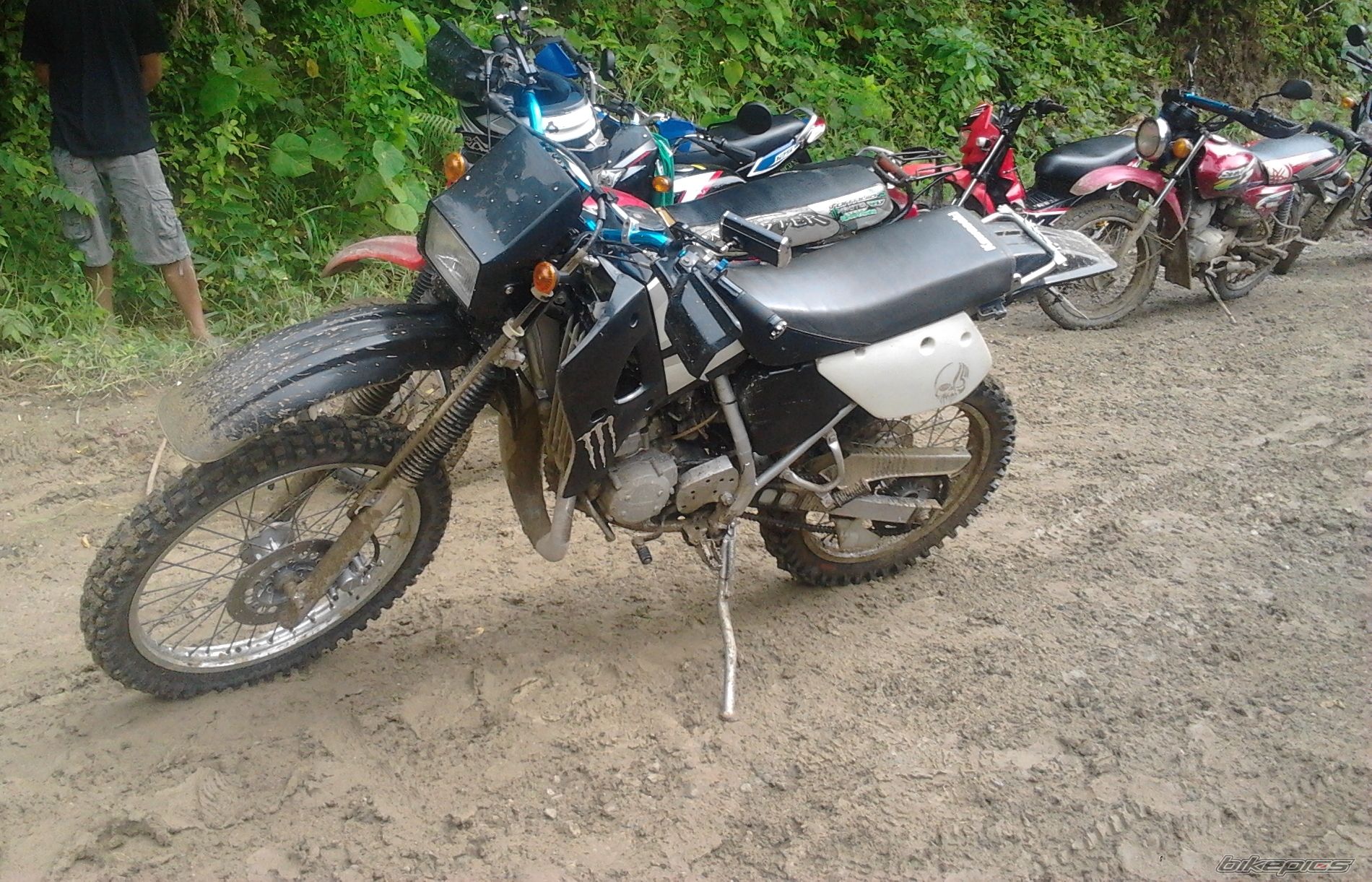 Photo 2462883