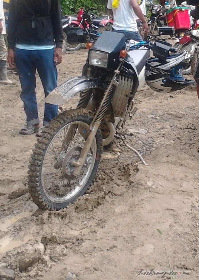 Photo 2462885
