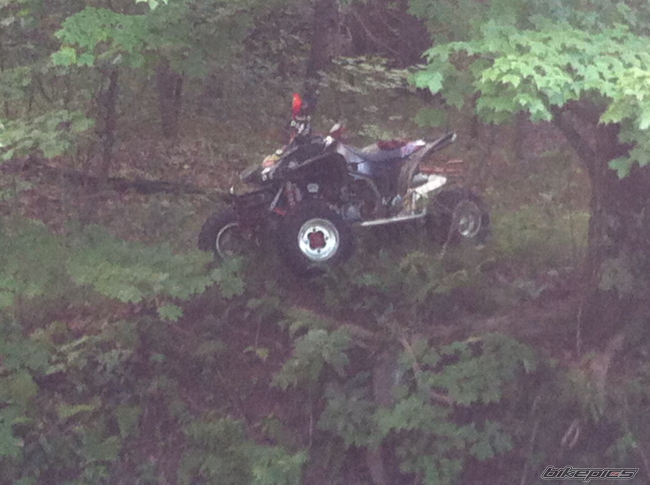 Photo 2463047