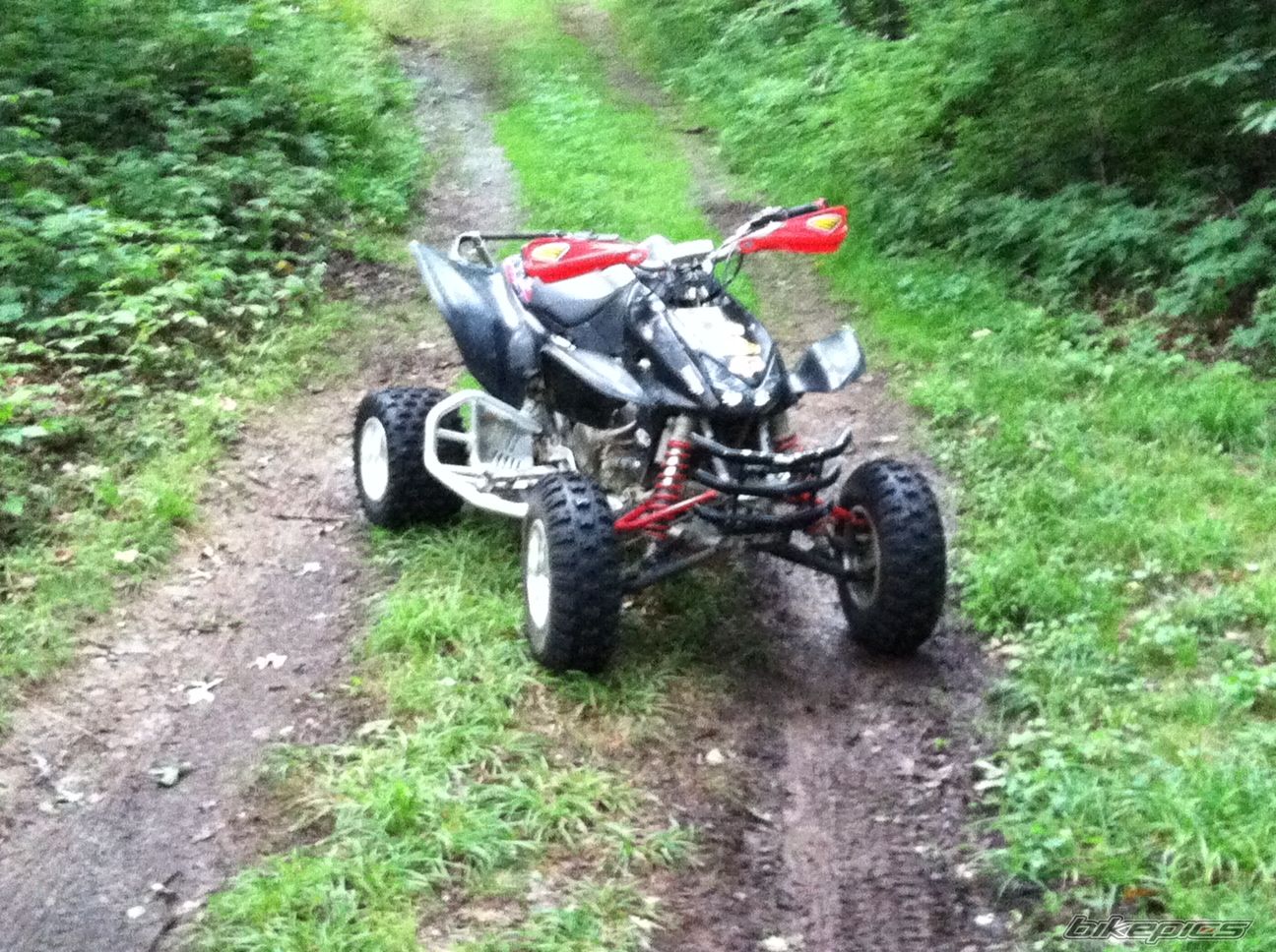 Photo 2463051