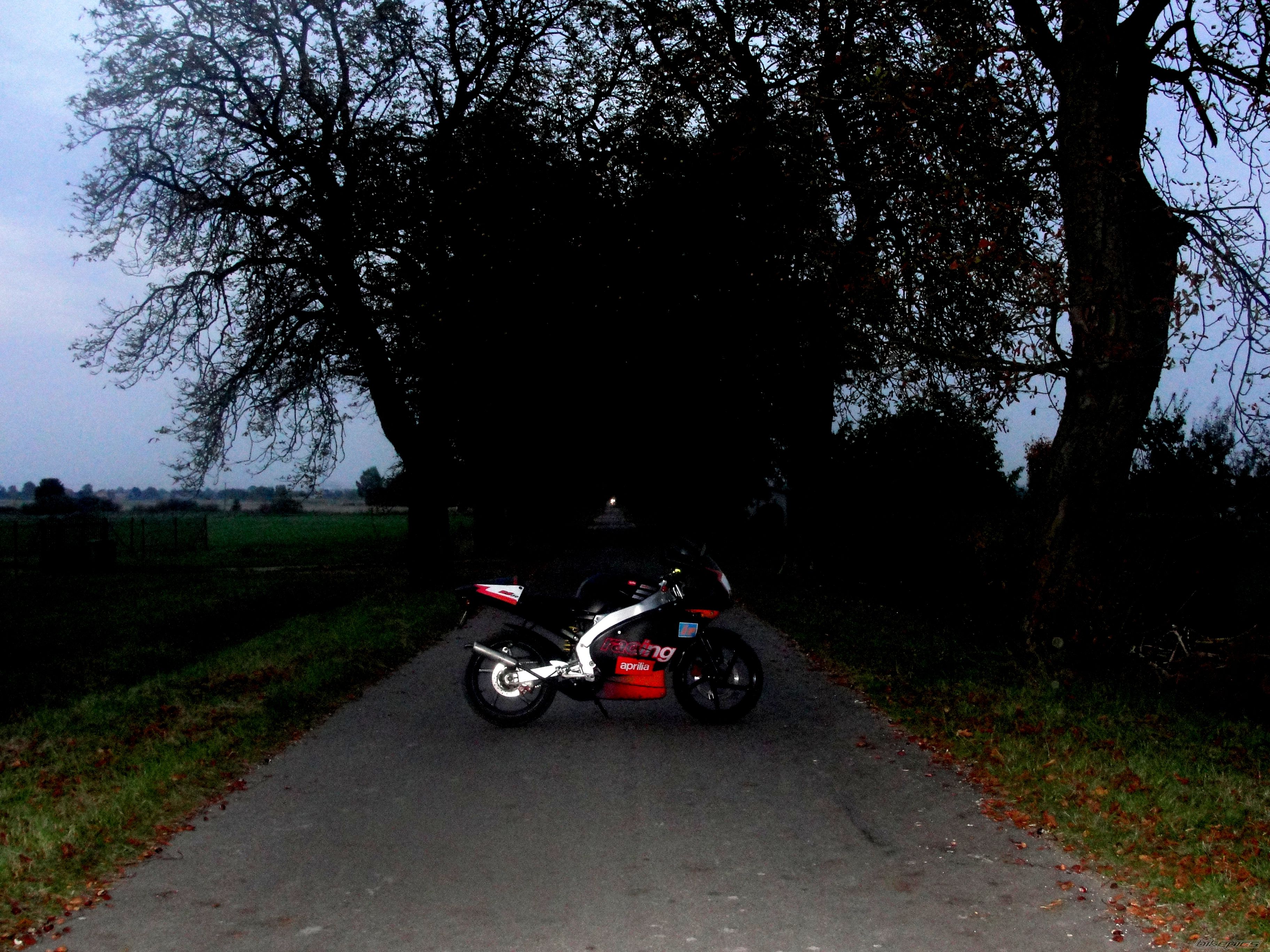 Photo 2463070