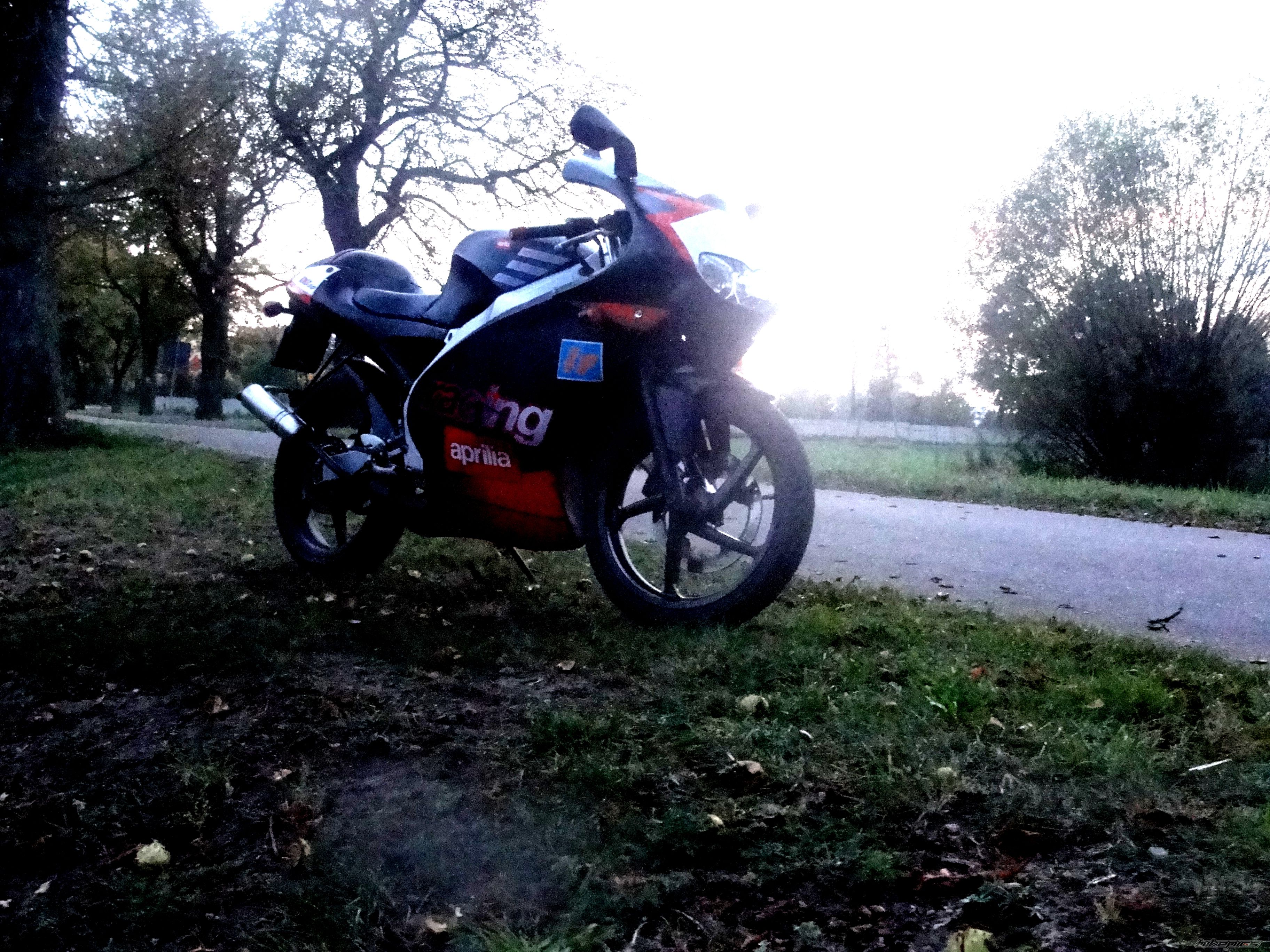 Photo 2463072