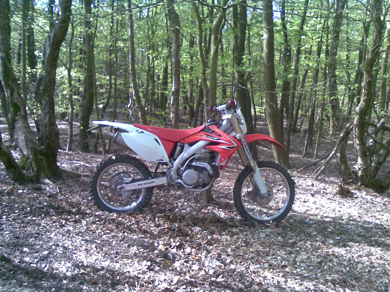 Photo 2463080