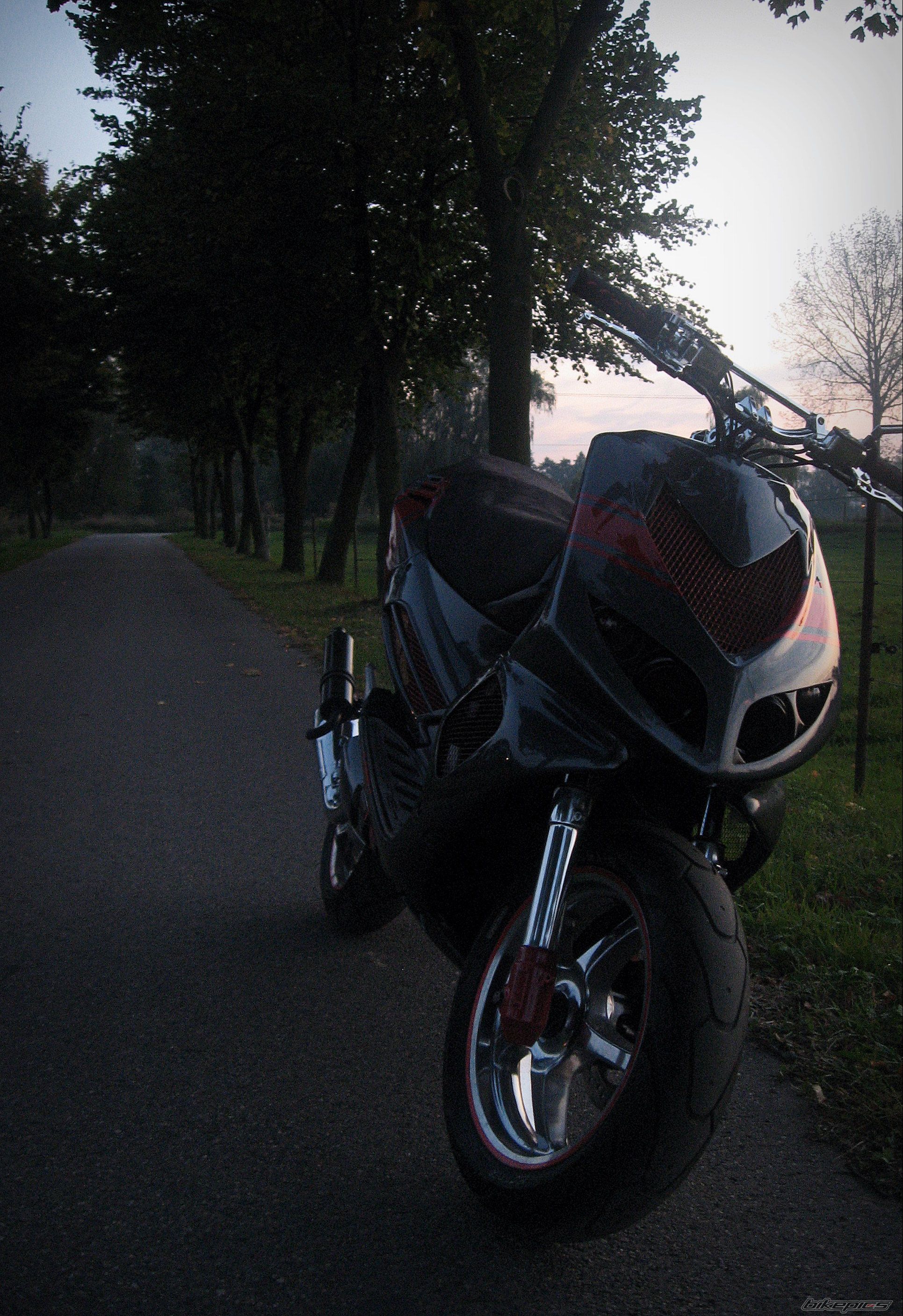 Photo 2463094