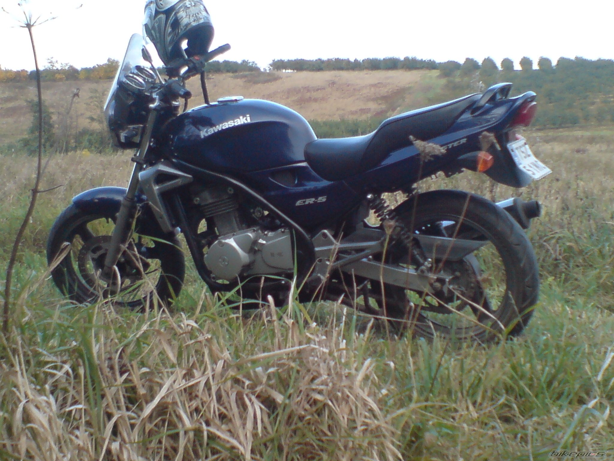 Photo 2463105