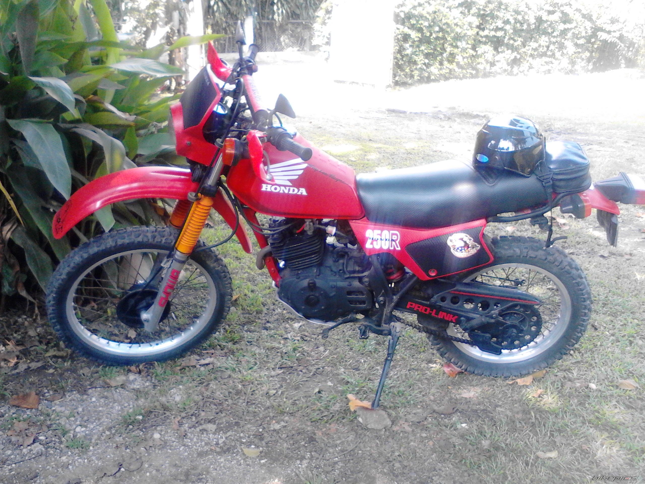 Photo 2463139