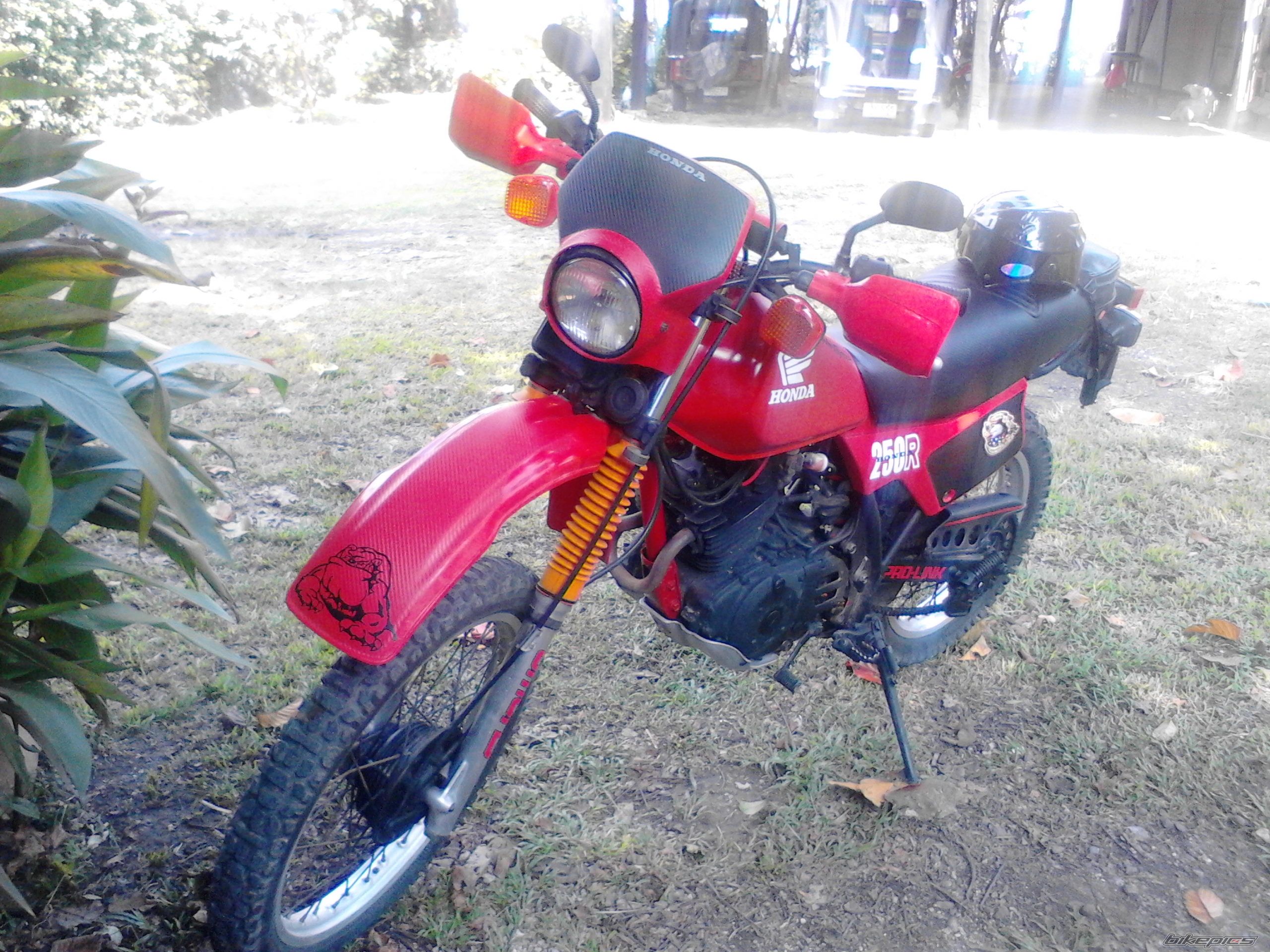 Photo 2463141