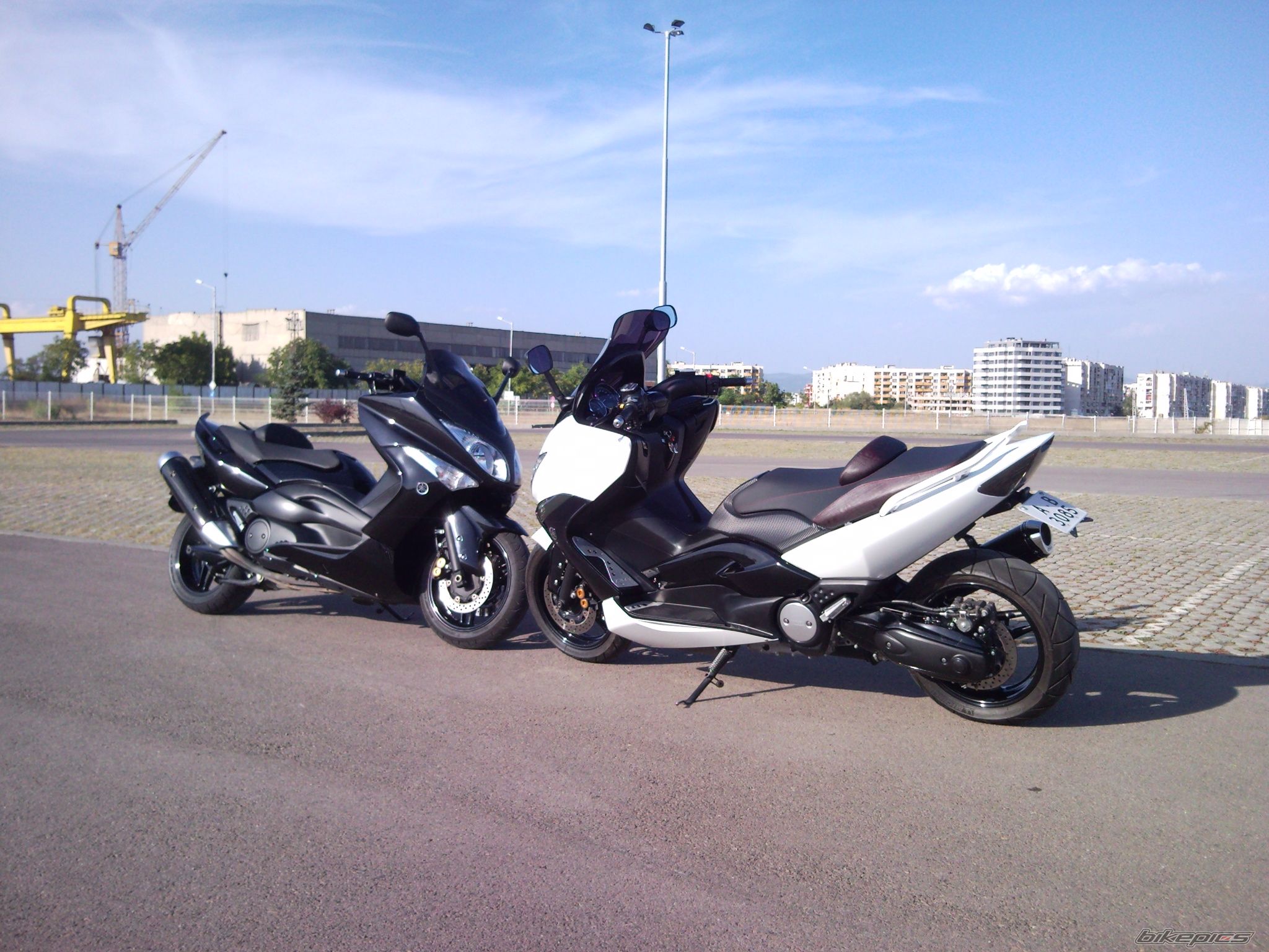 Photo 2463174