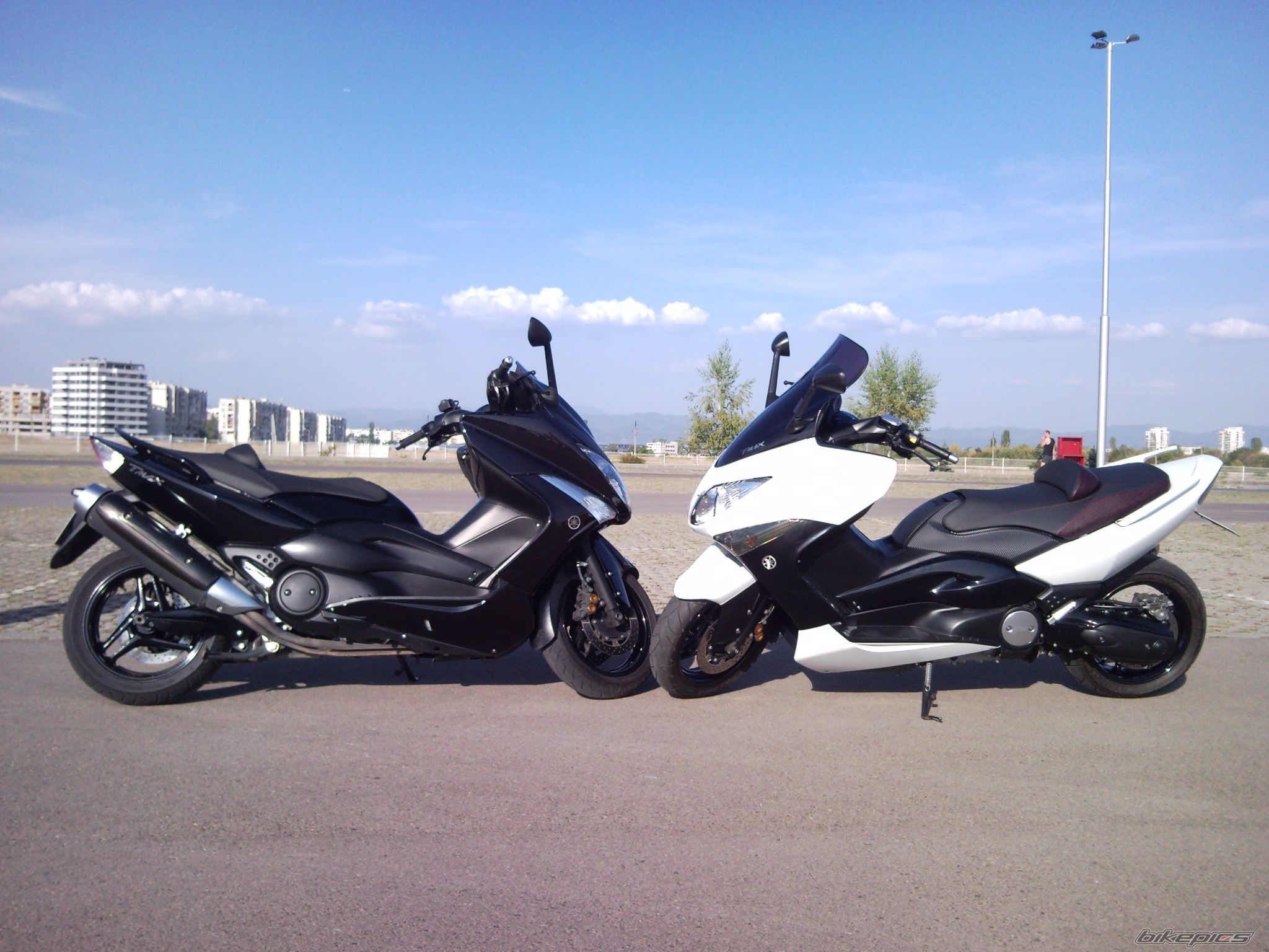 Photo 2463175