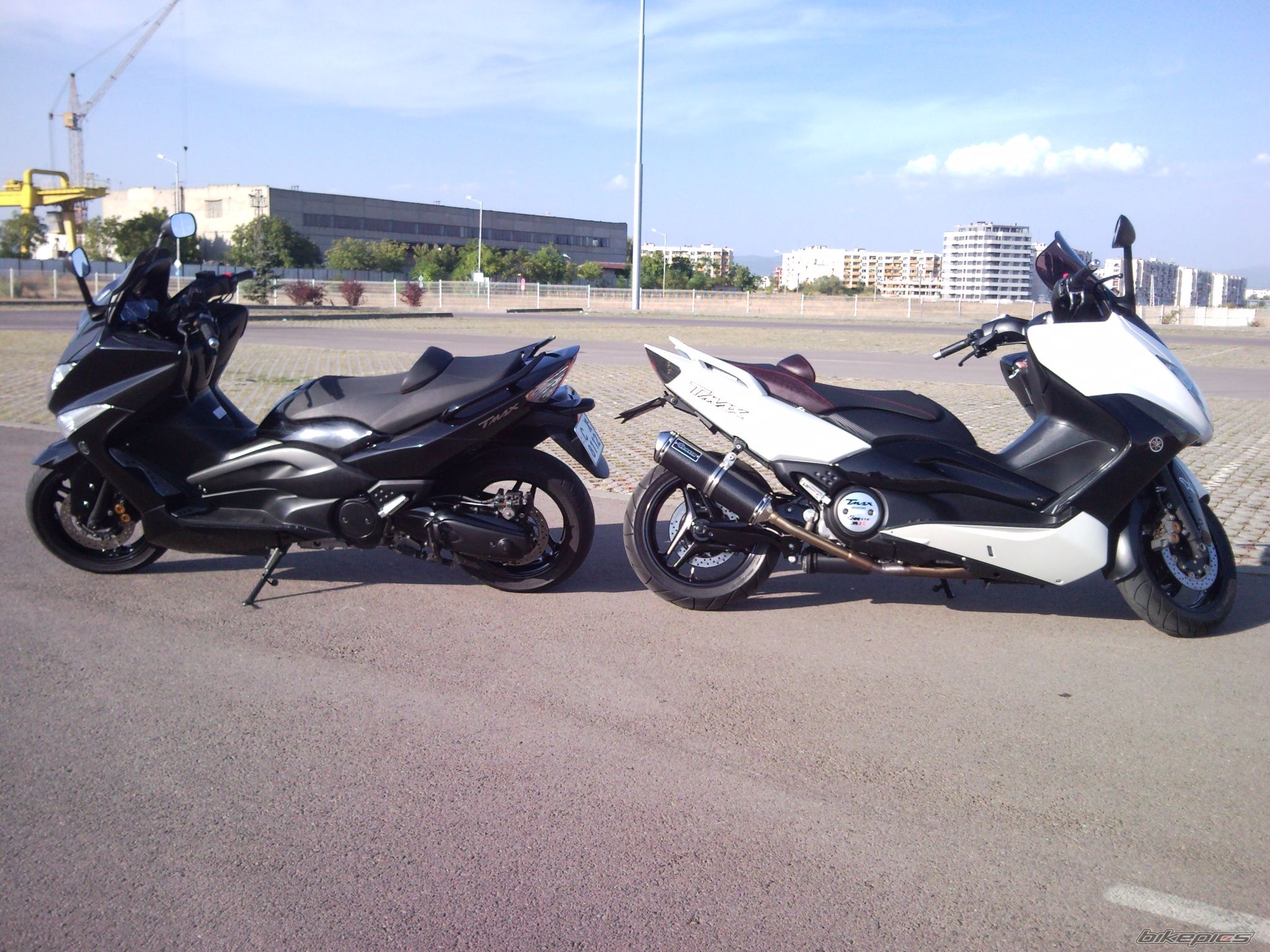 Photo 2463179