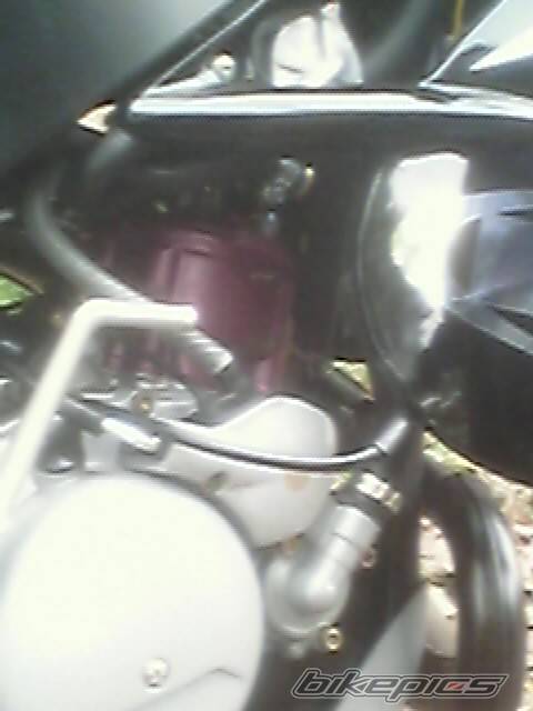Photo 246318