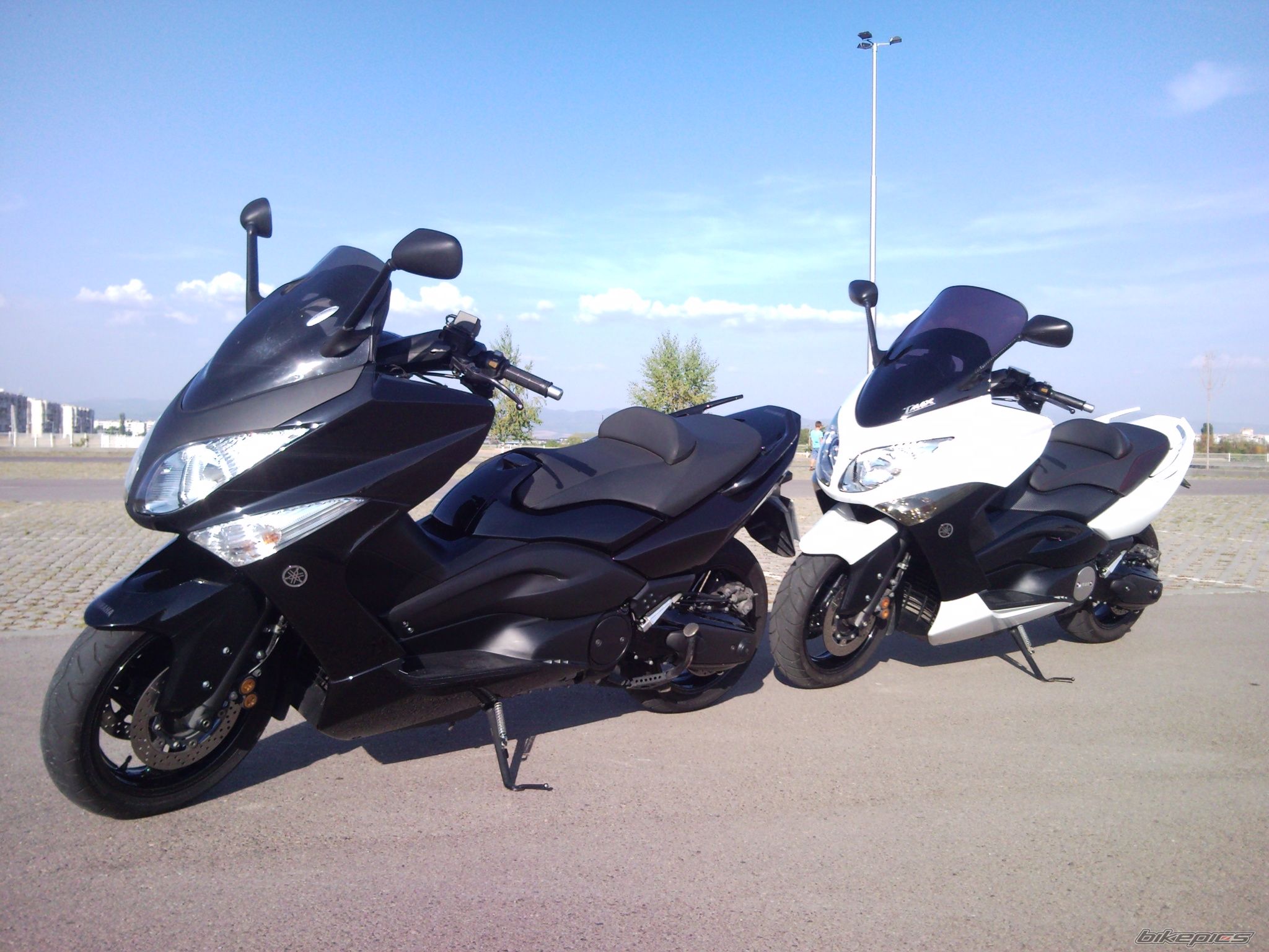 Photo 2463180