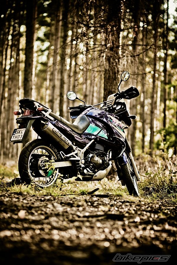 Photo 2463230
