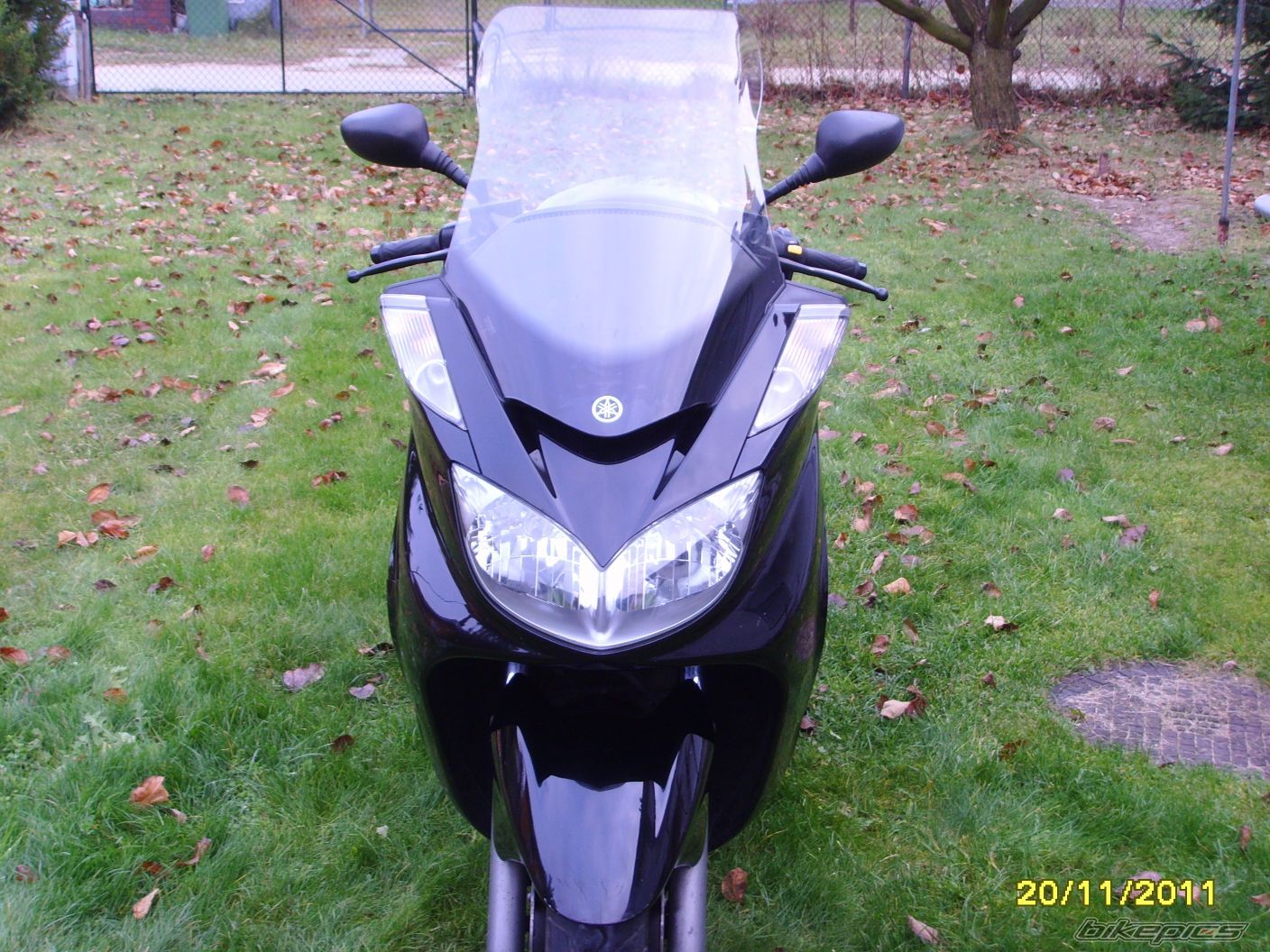 Photo 2463237