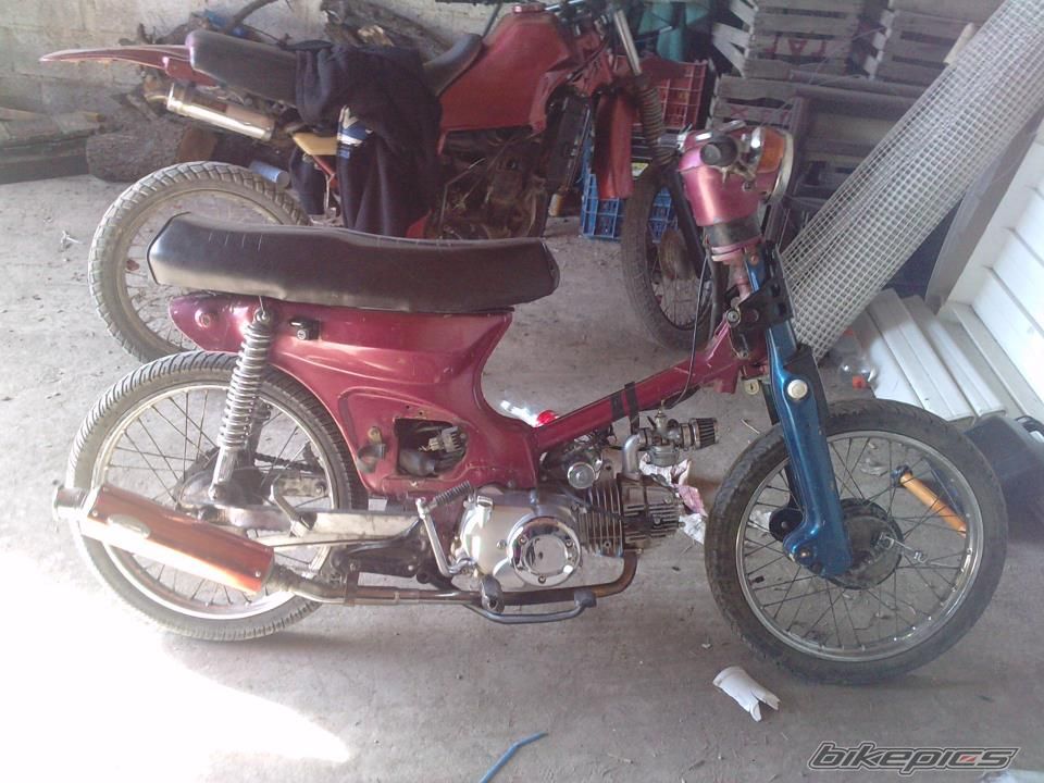 Photo 2463243