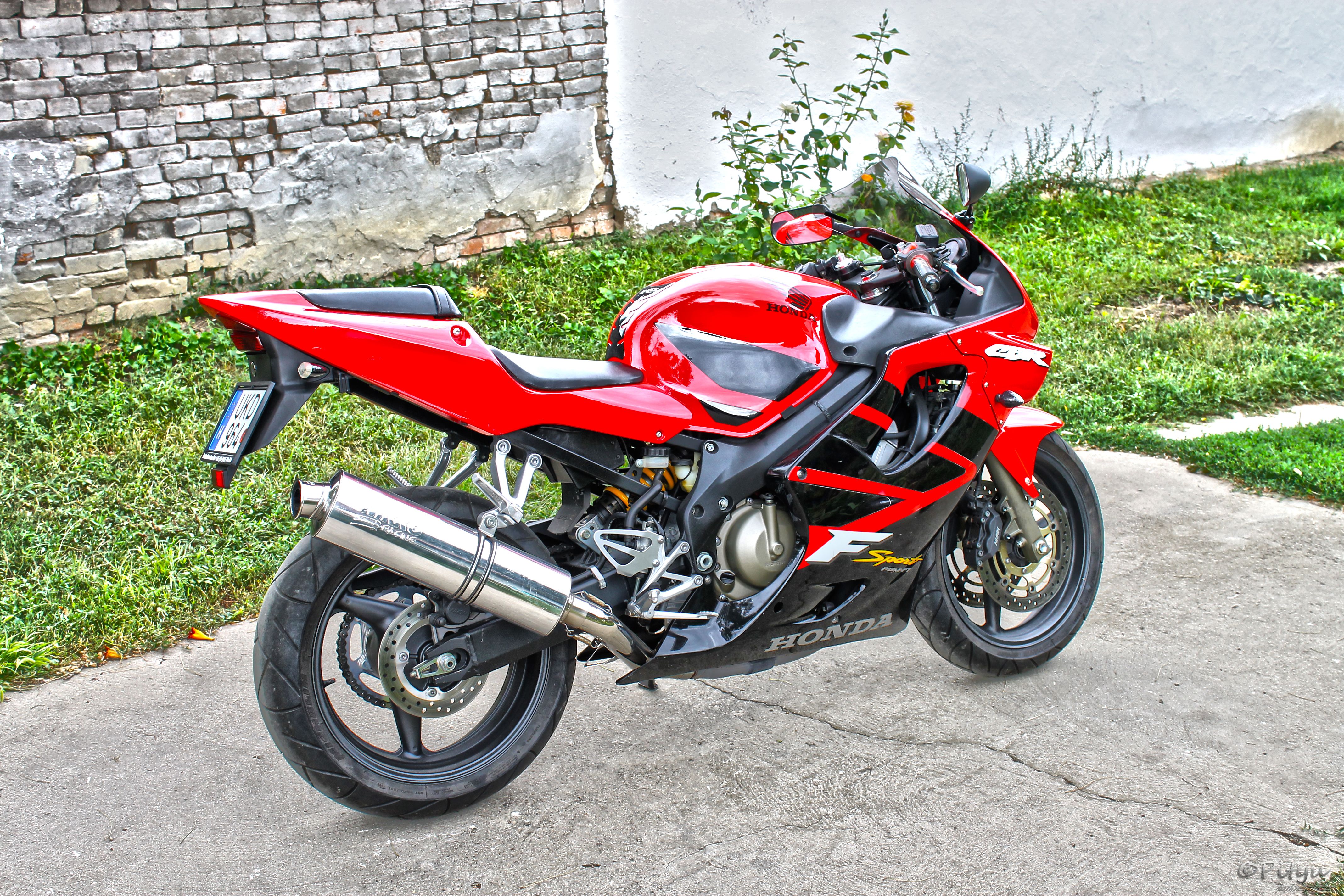 Photo 2463361