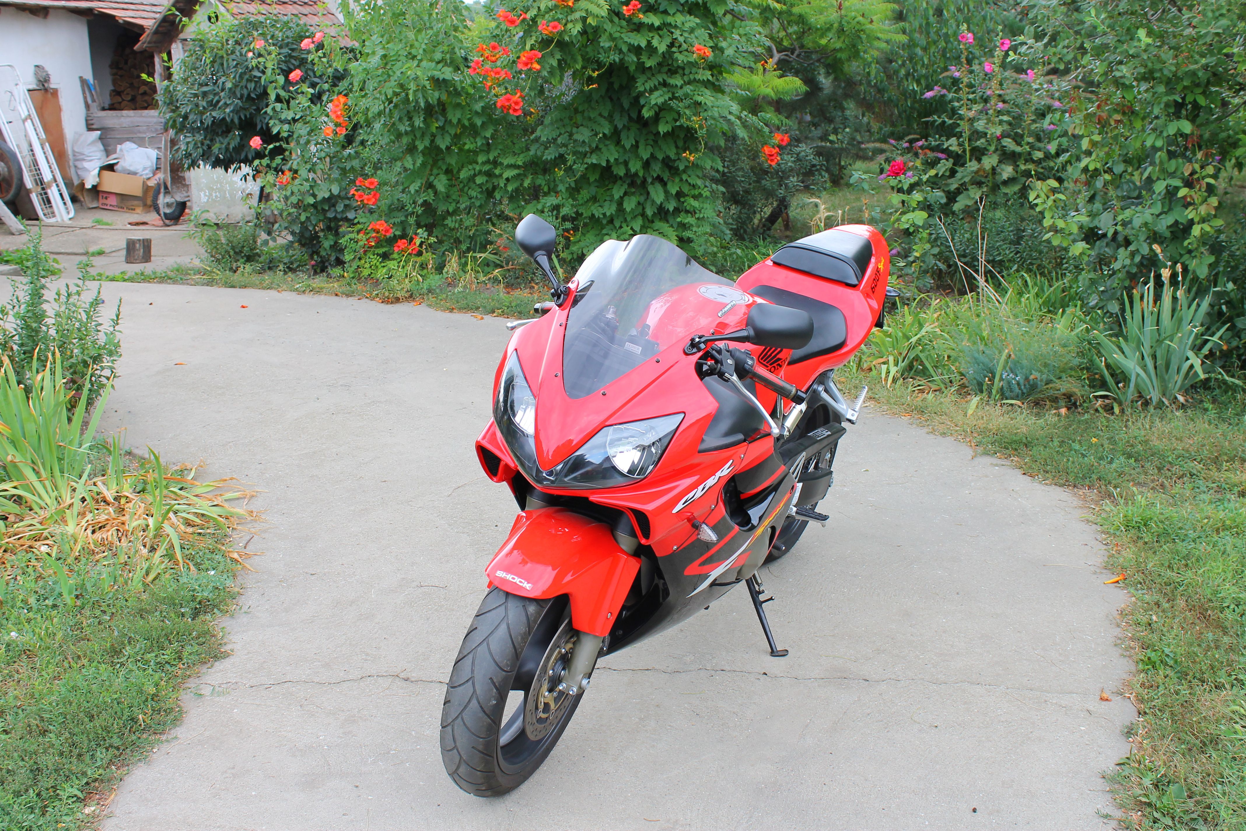 Photo 2463364
