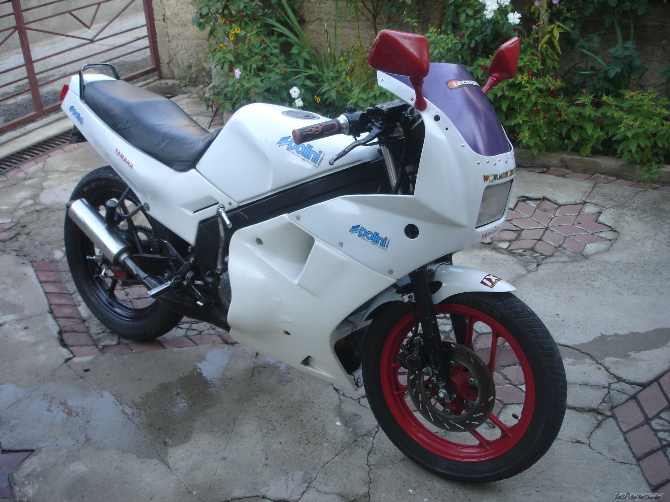 Photo 2463450