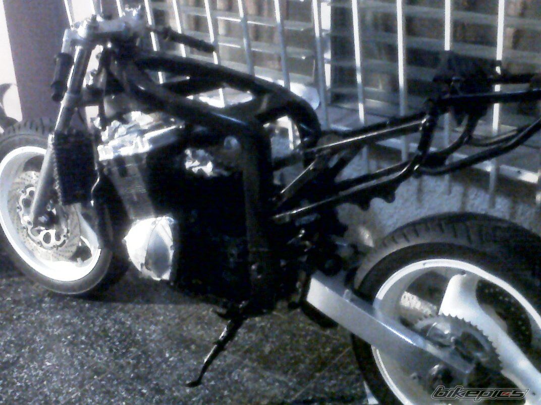 Photo 2463512