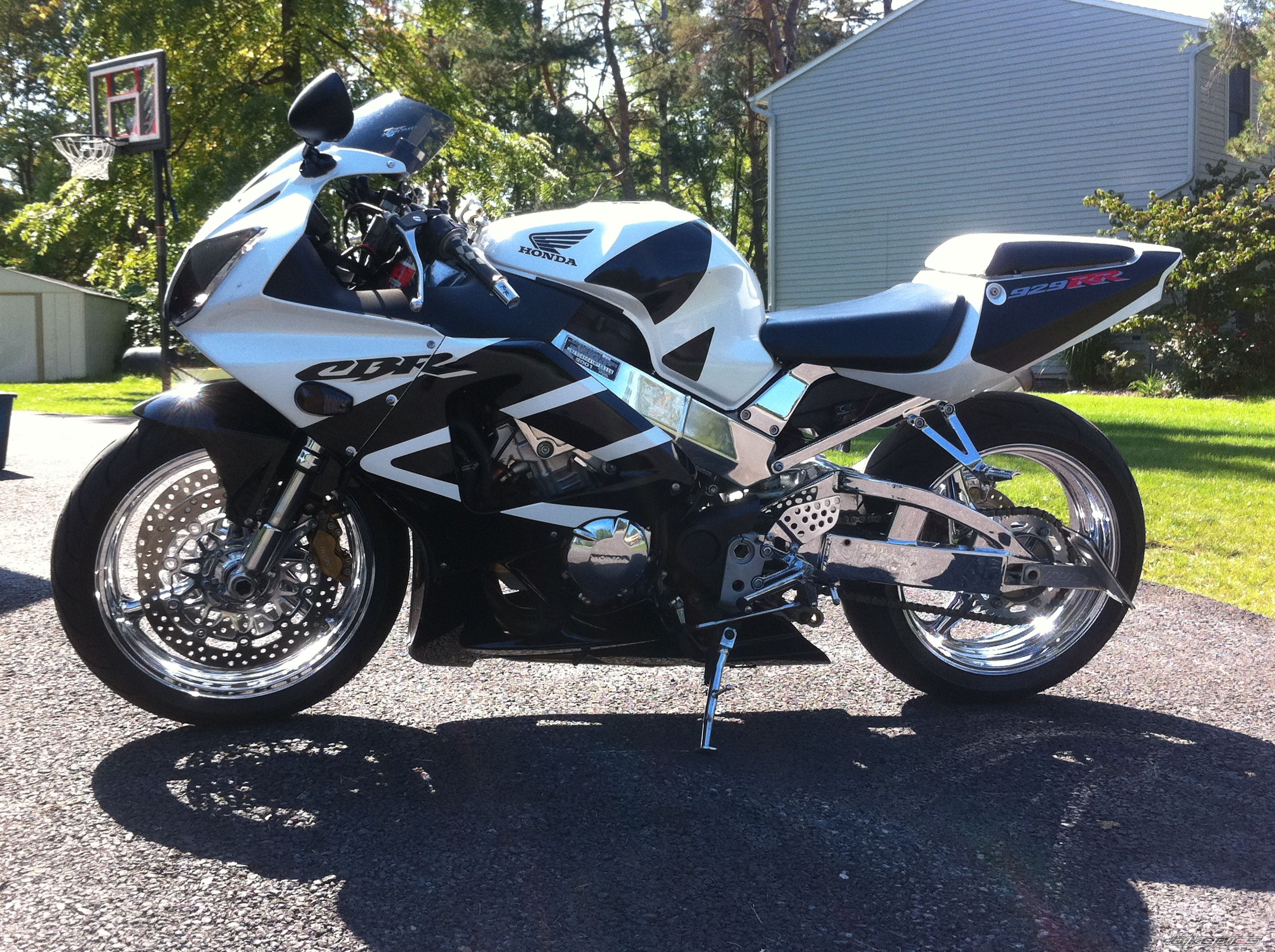 Photo 2463539