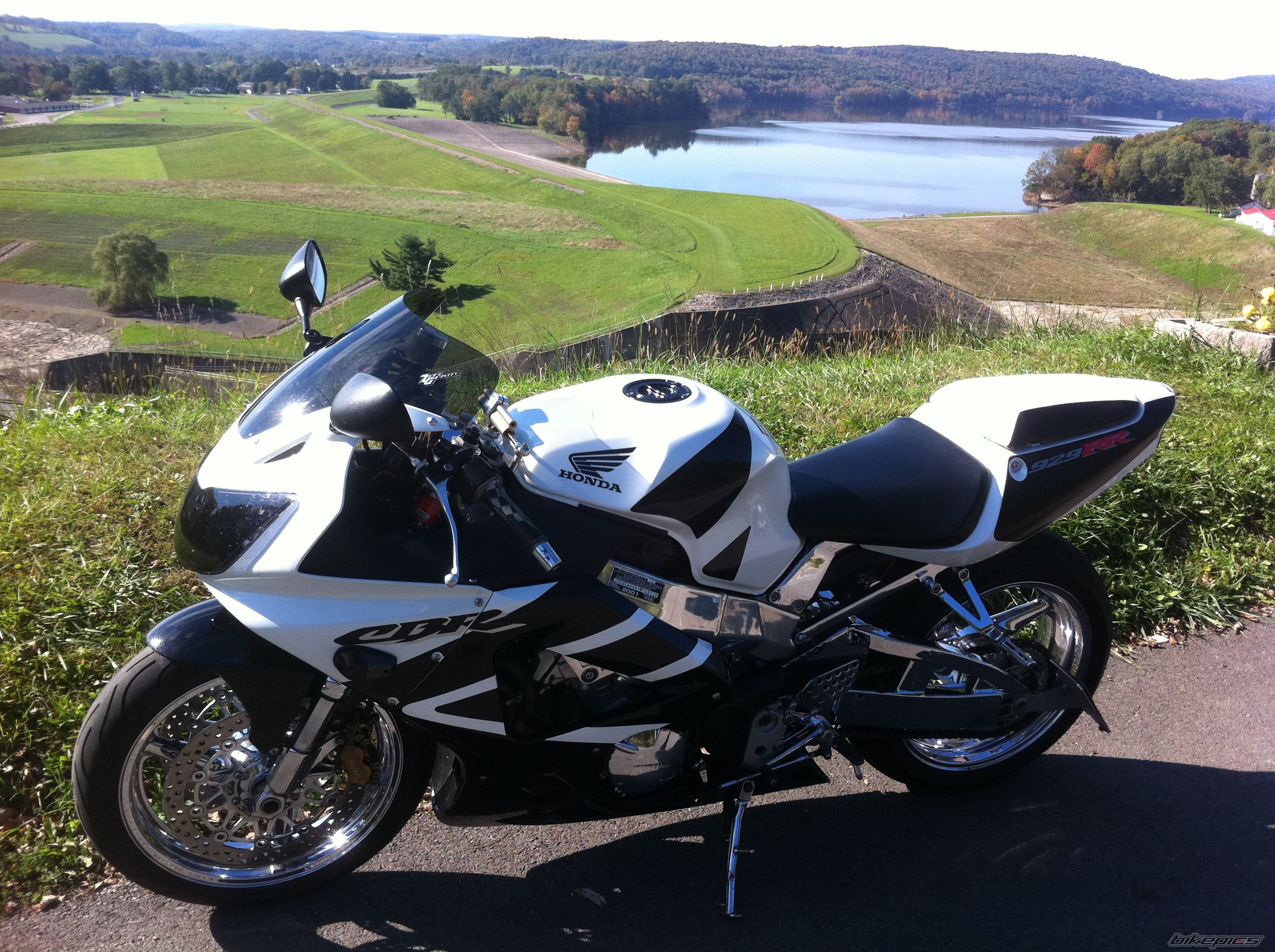 Photo 2463540