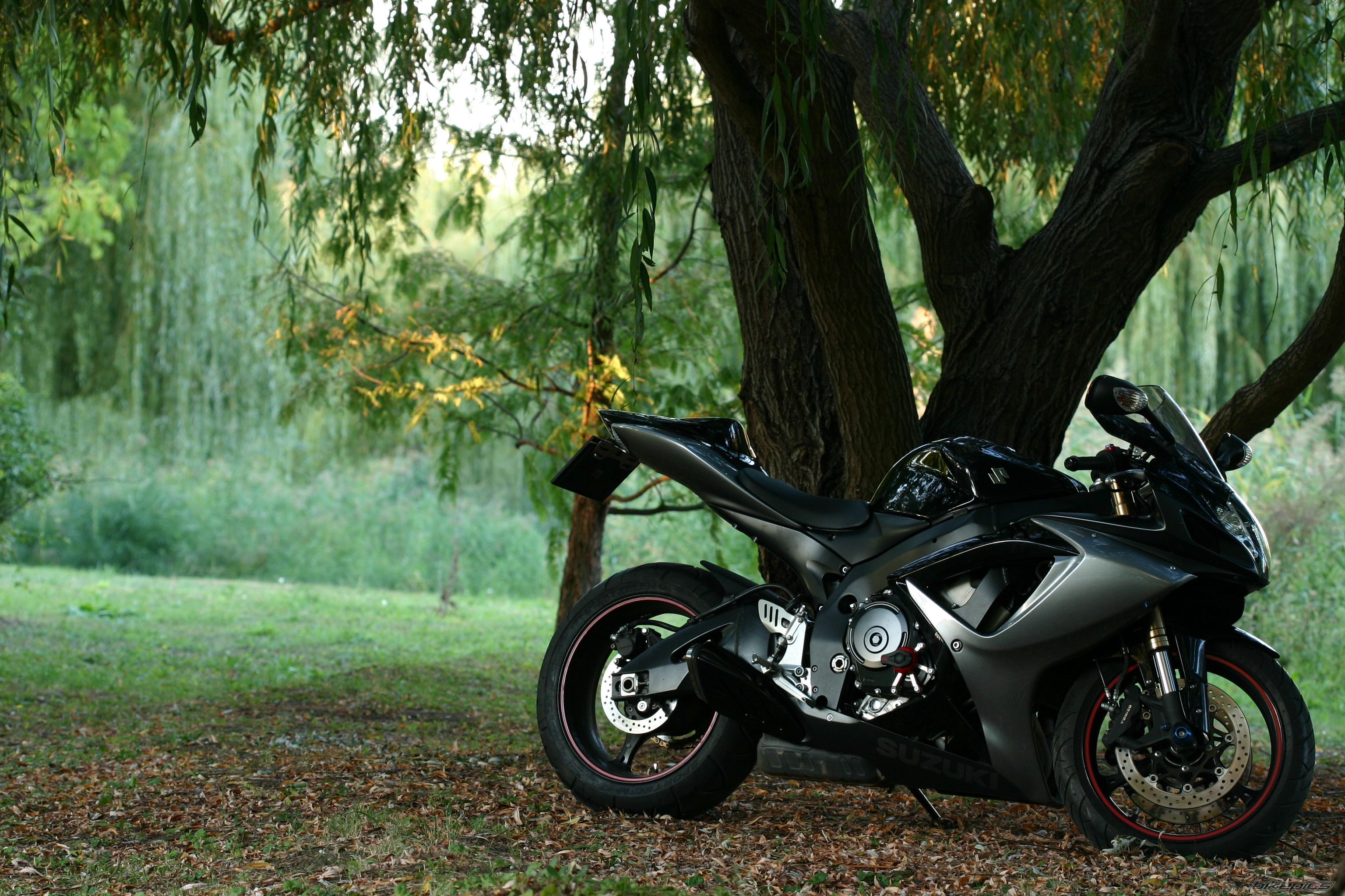 Bike Photo 2463572