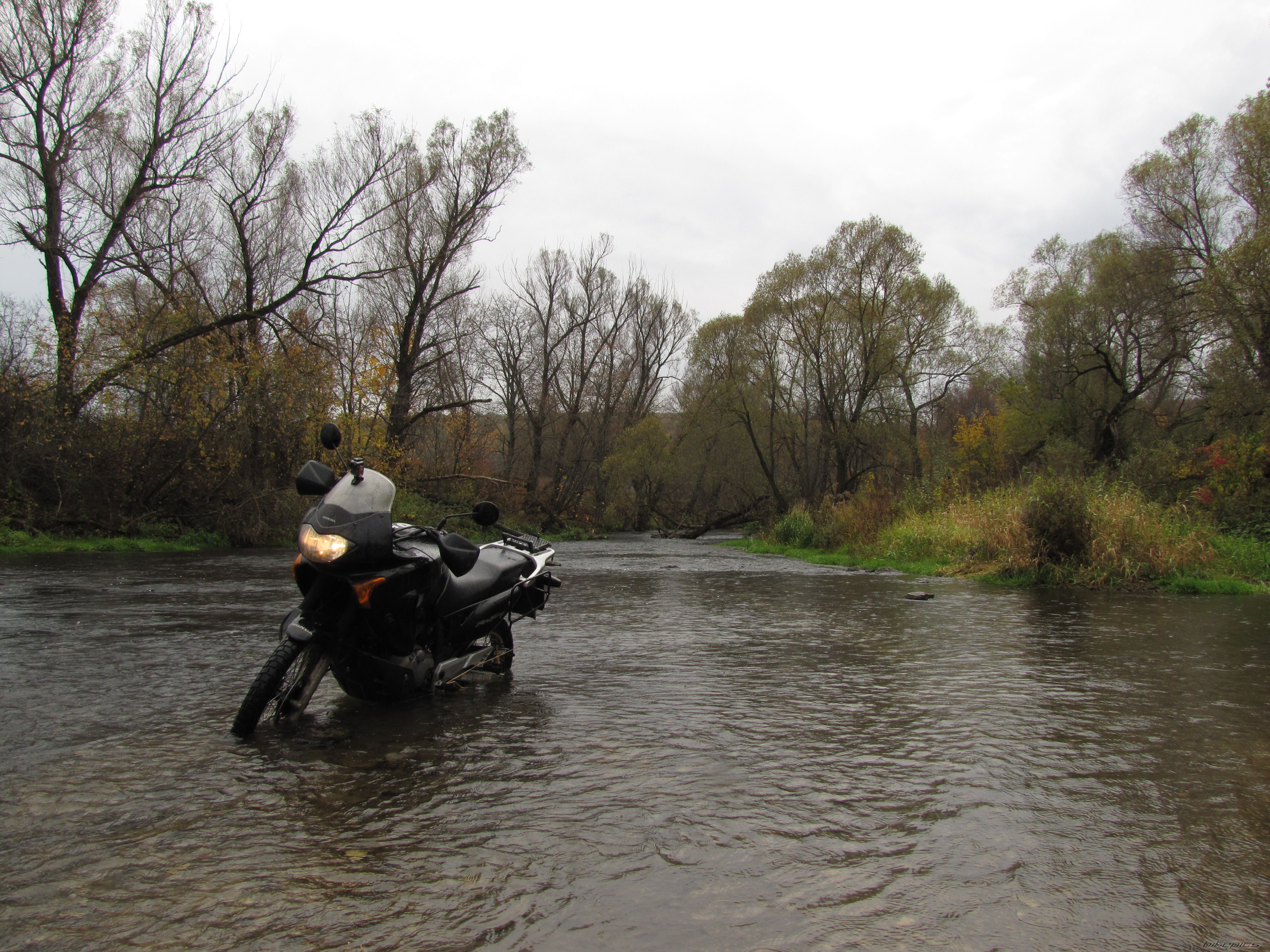 Photo 2463605