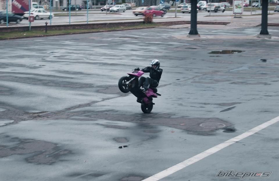 Photo 2463620