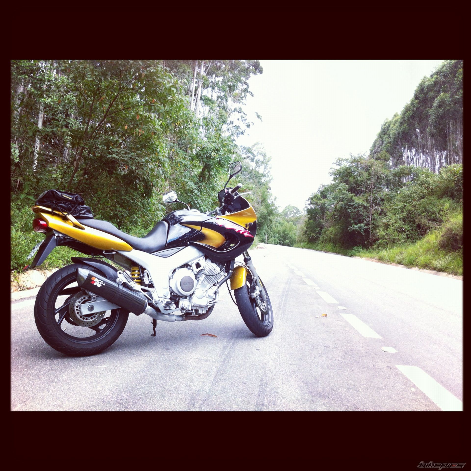Photo 2463710