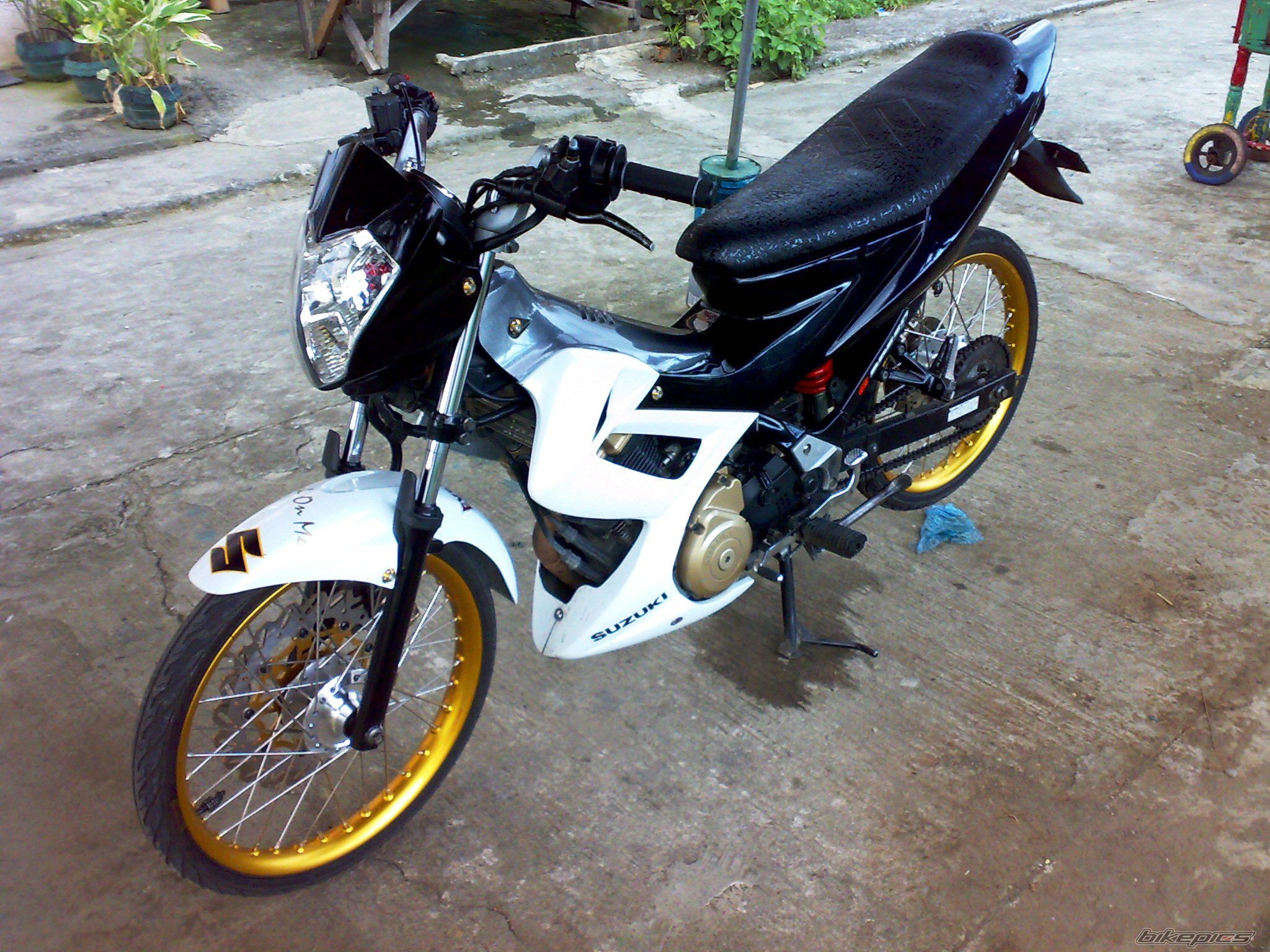 Photo 2463713