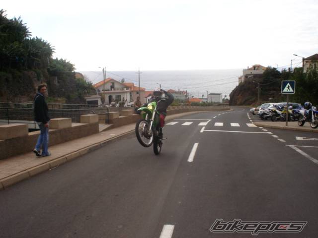 Photo 246373