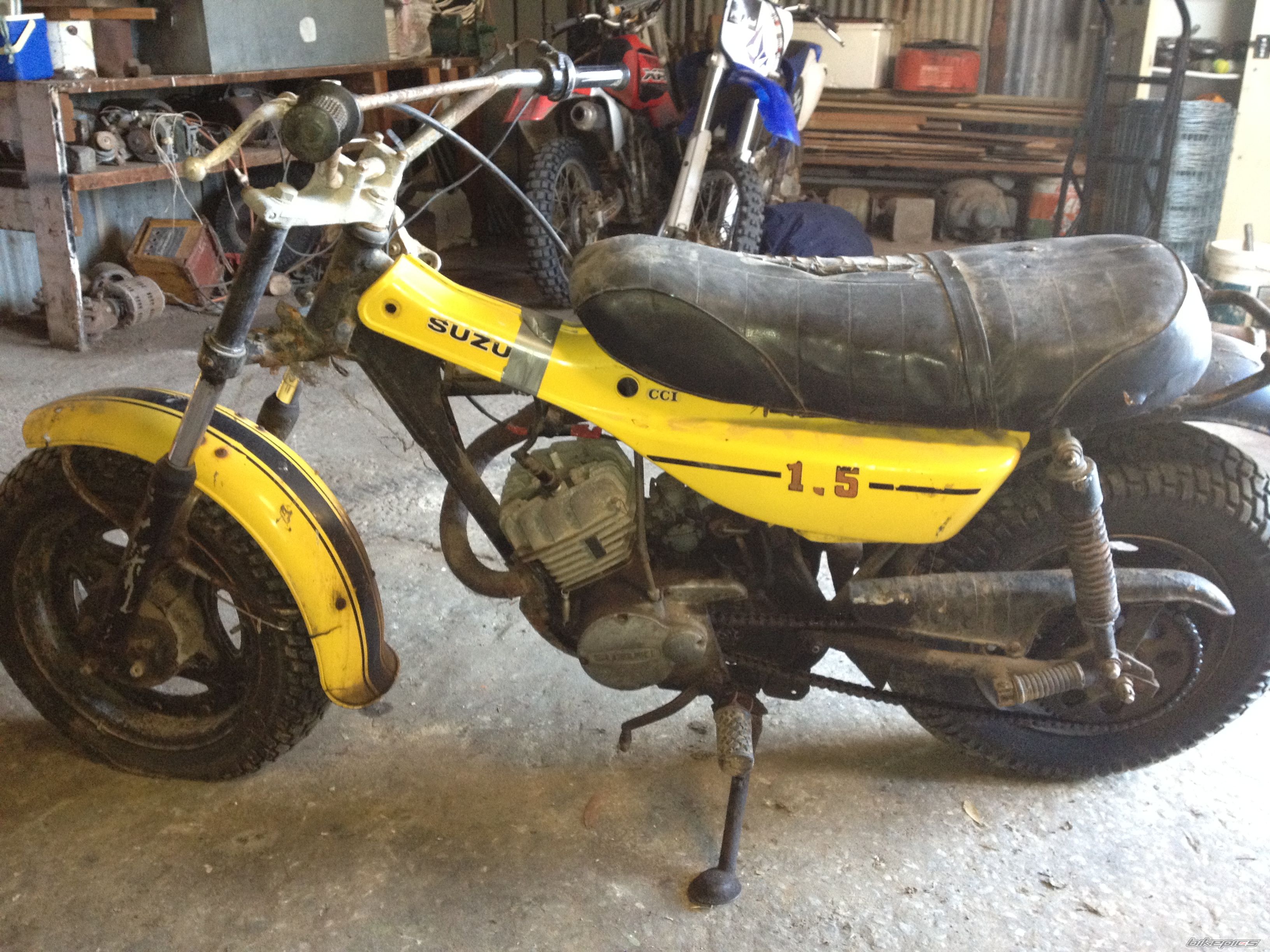 Photo 2463752